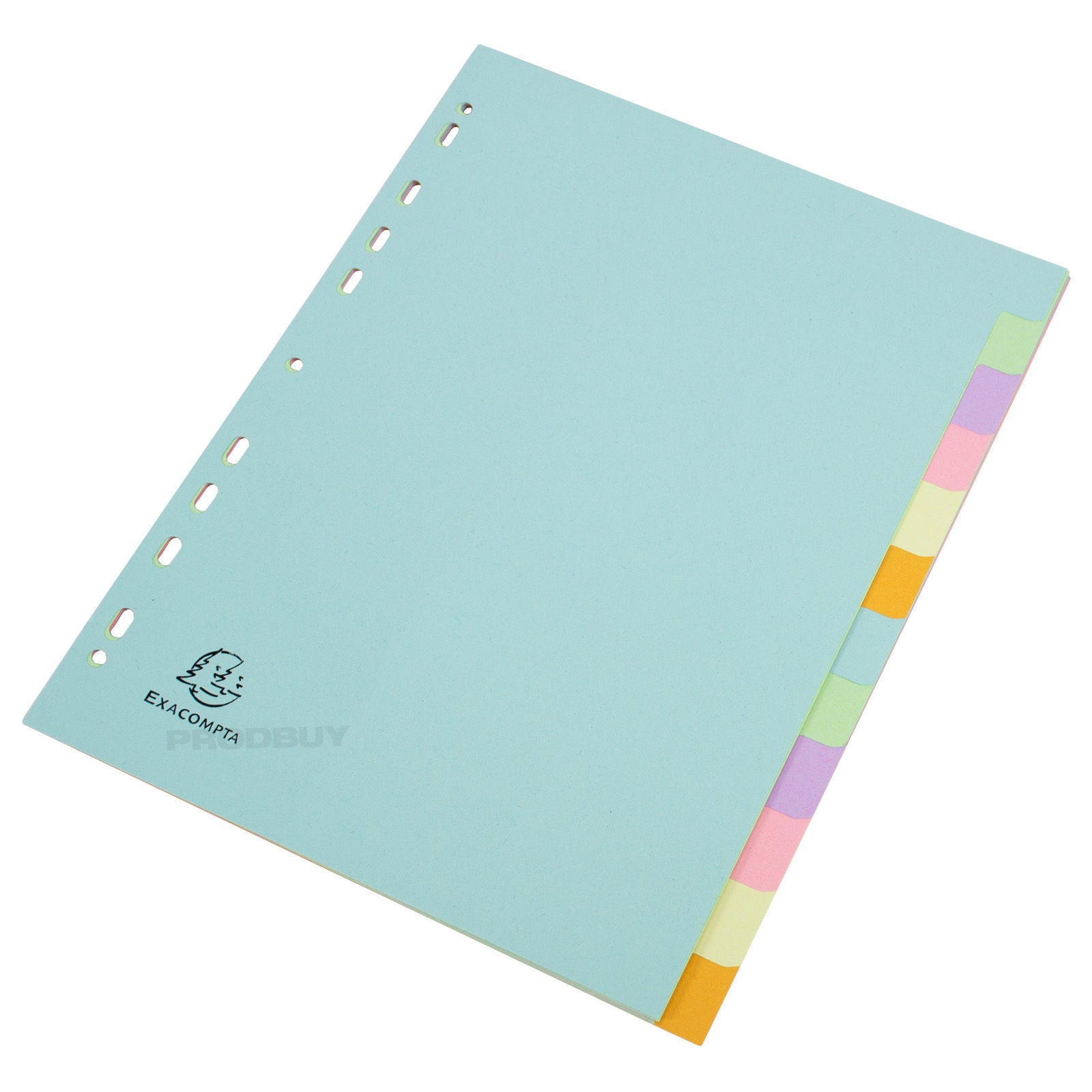 A6 Vellum/matte Clear Cash Envelopes With Custom Divider Tabs 