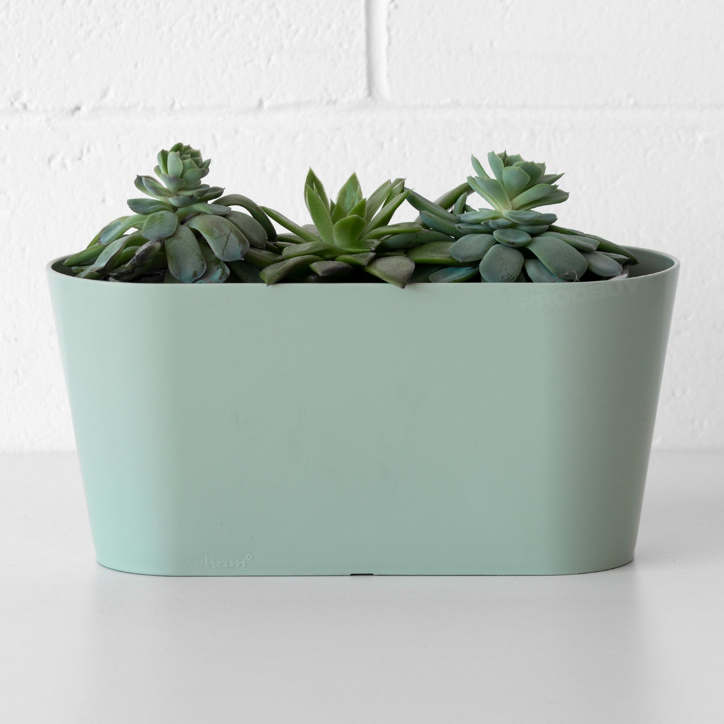 Silver Sage 30cm Oval Herb Trough