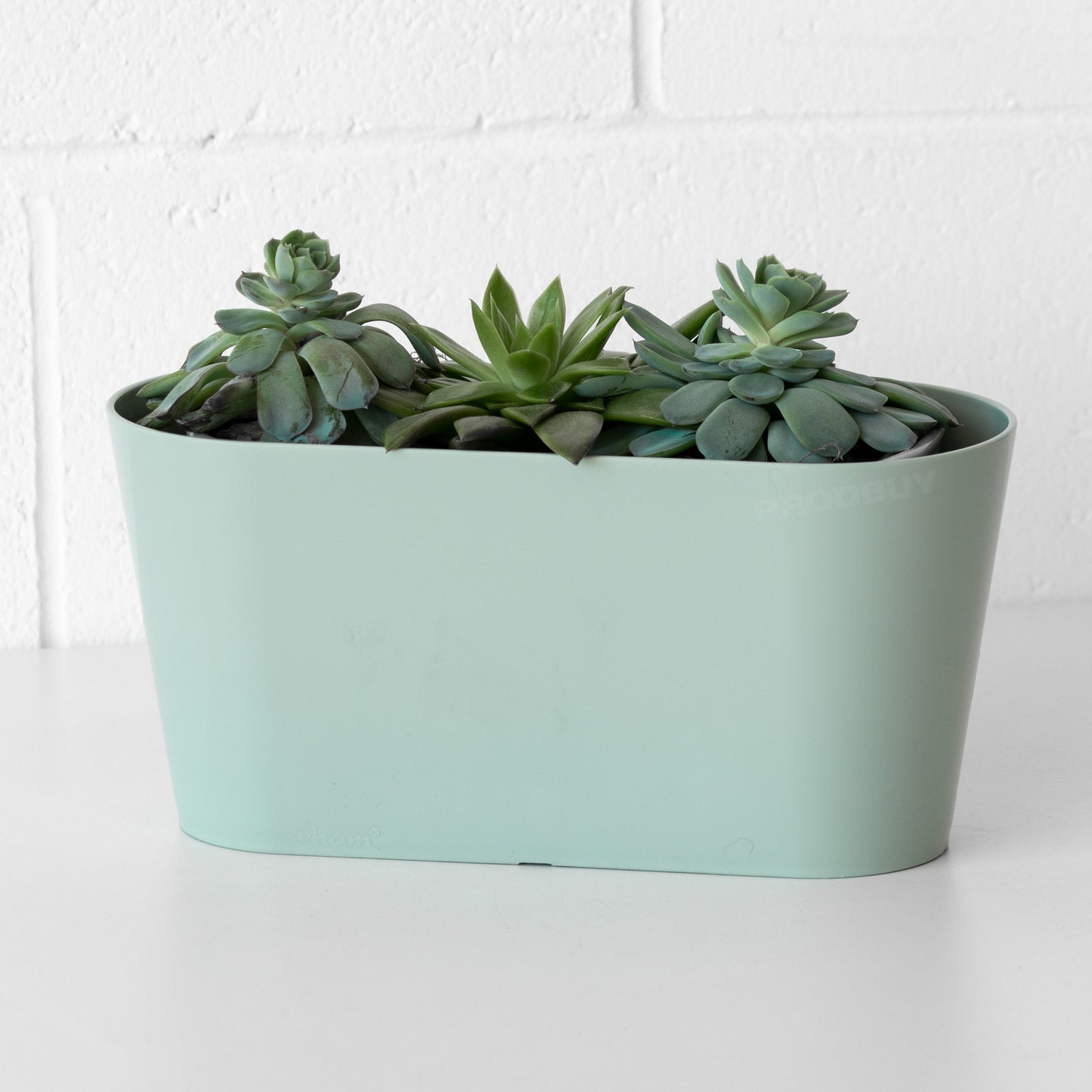 Silver Sage 30cm Oval Herb Trough