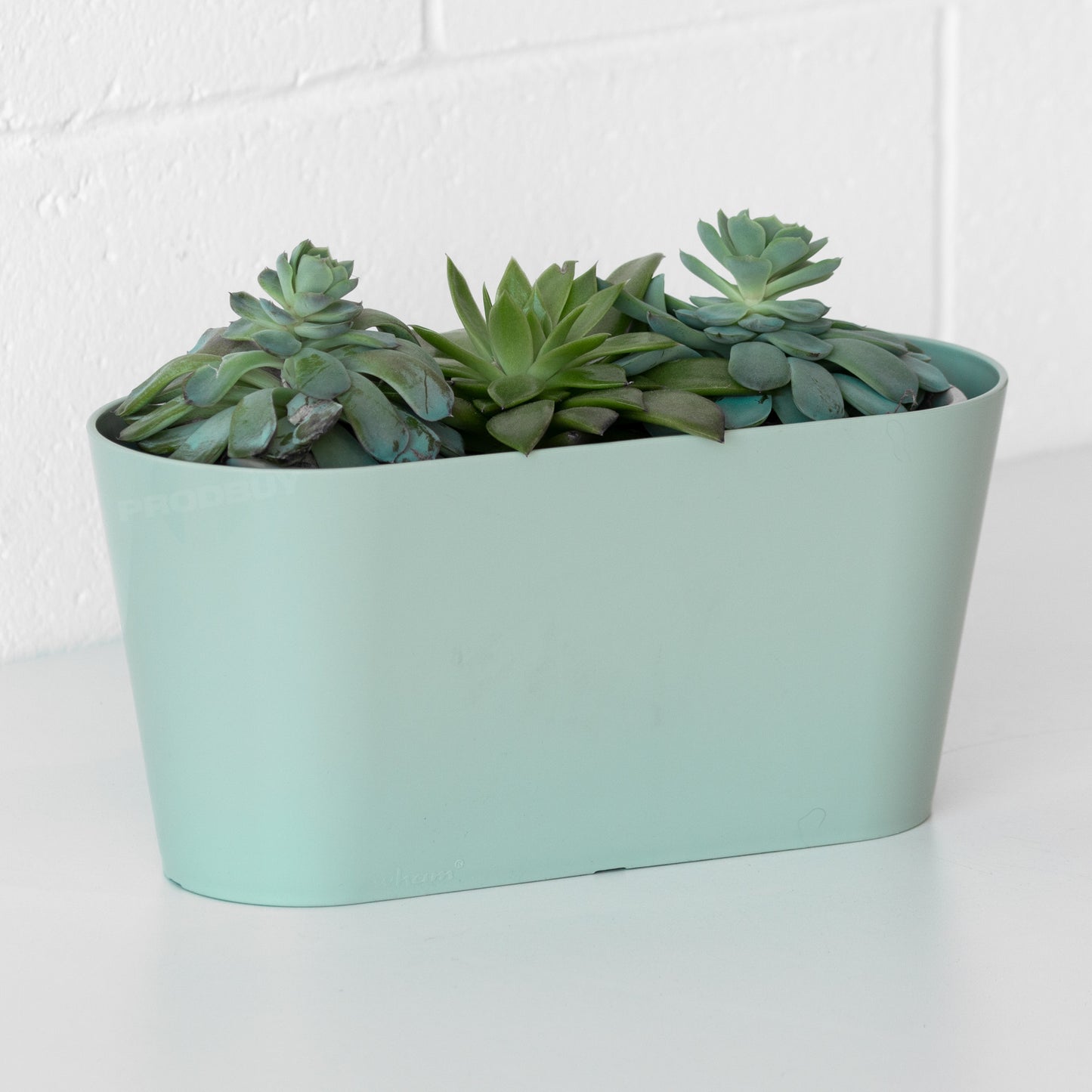 Silver Sage 30cm Oval Herb Trough