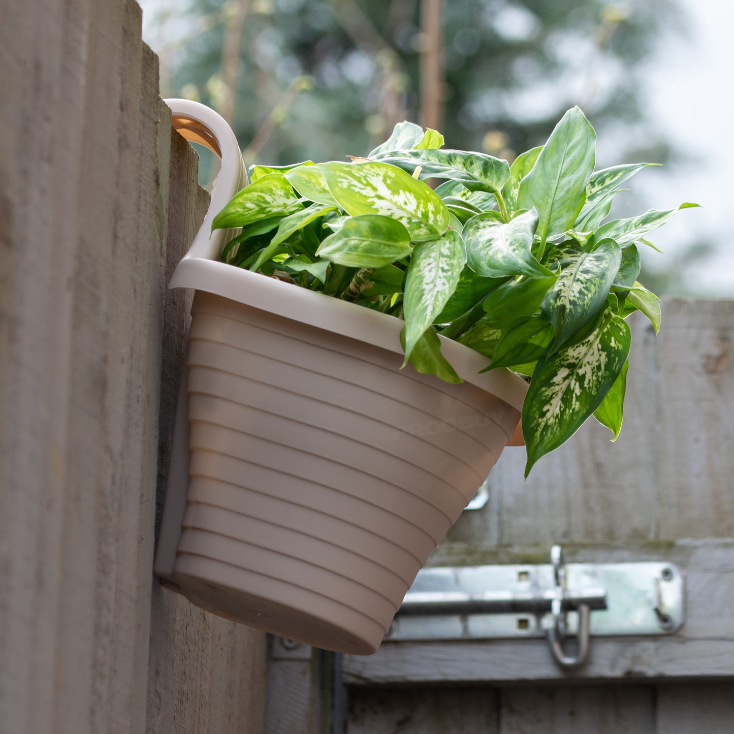 Set of 2 Beige Fence Hanging Garden Plant Pots