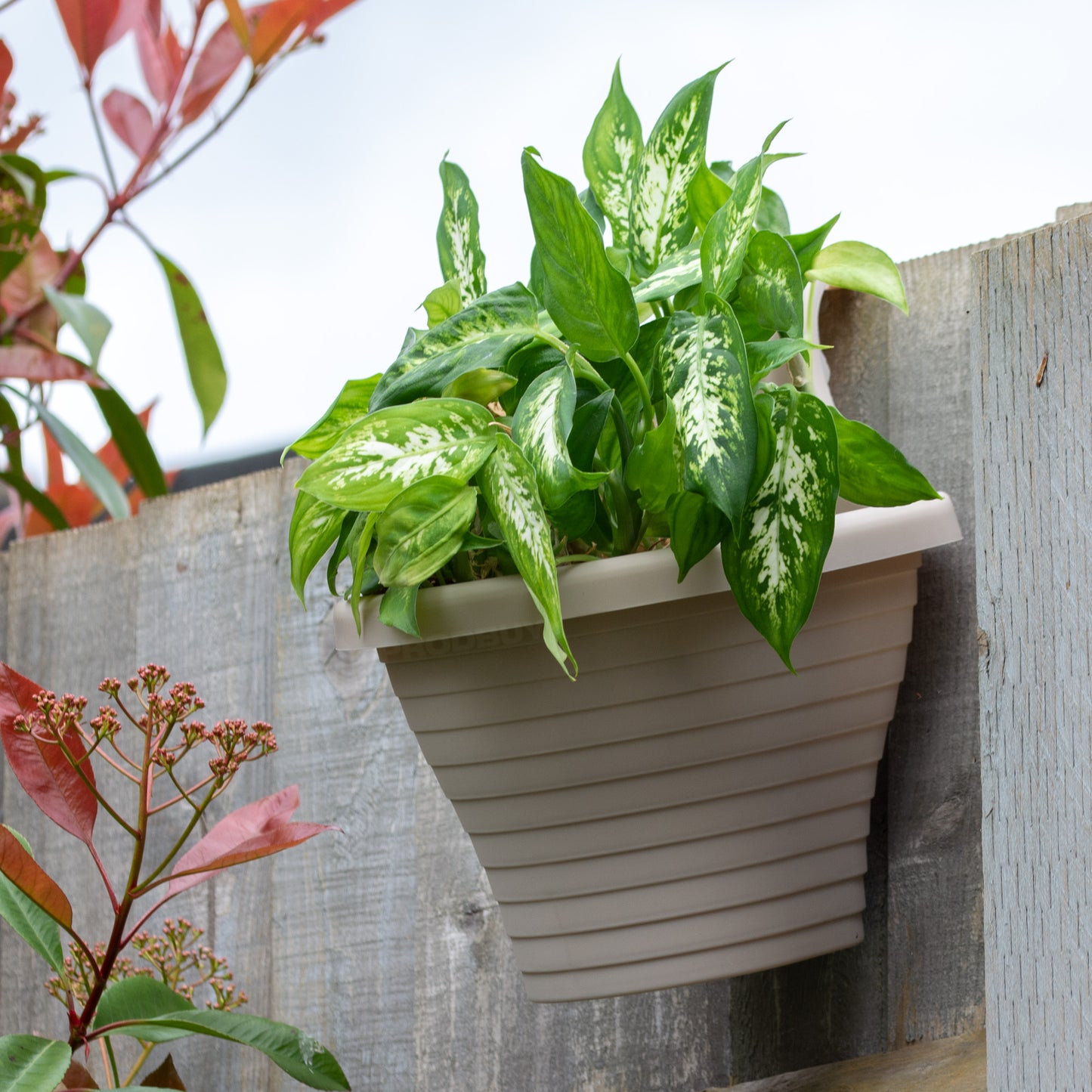 Set of 2 Beige Fence Hanging Garden Plant Pots