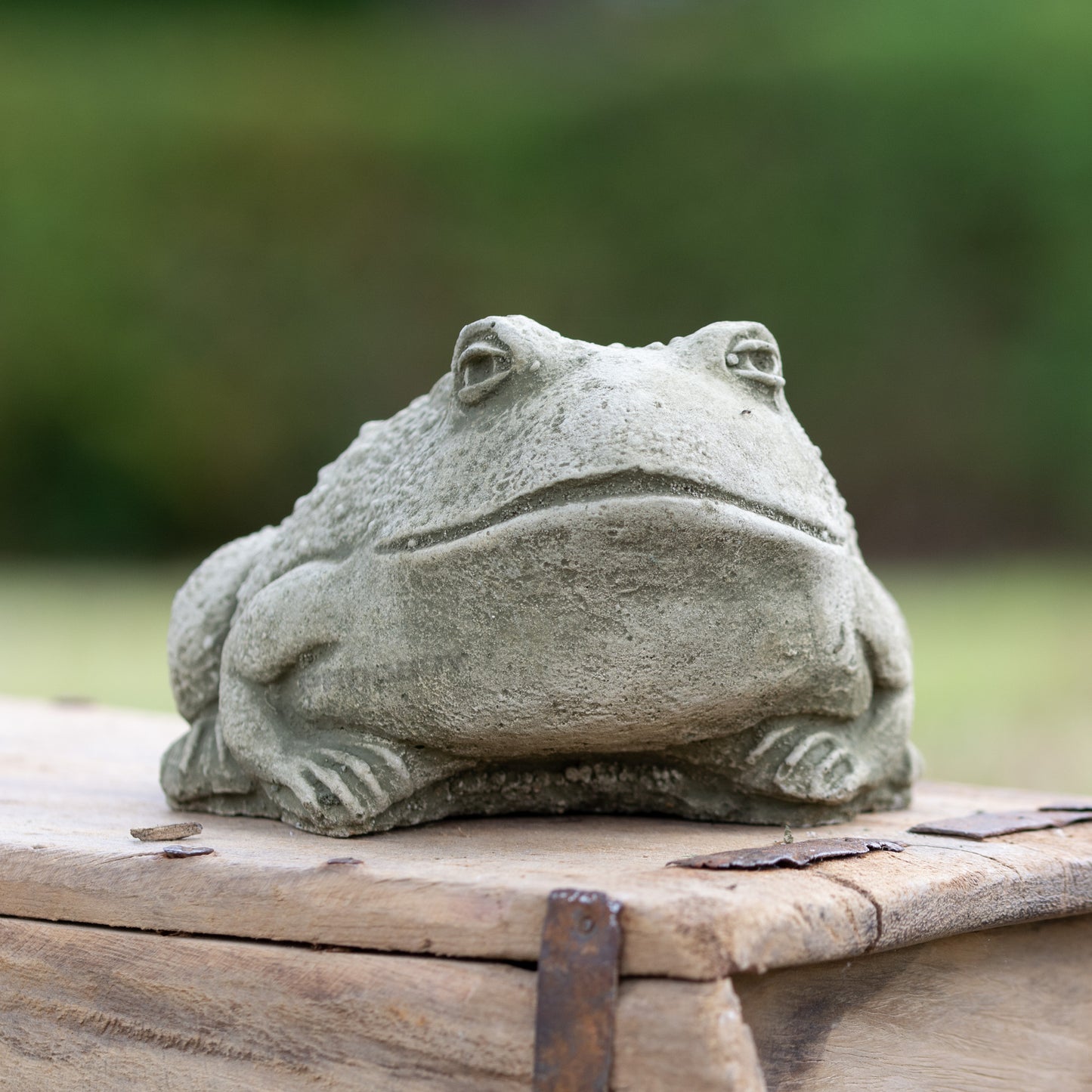 Heavy Stone 12cm Baby Bullfrog Ornament