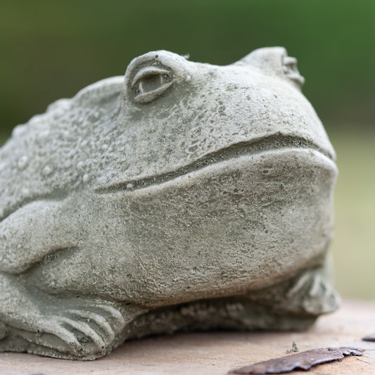 Heavy Stone 12cm Baby Bullfrog Ornament