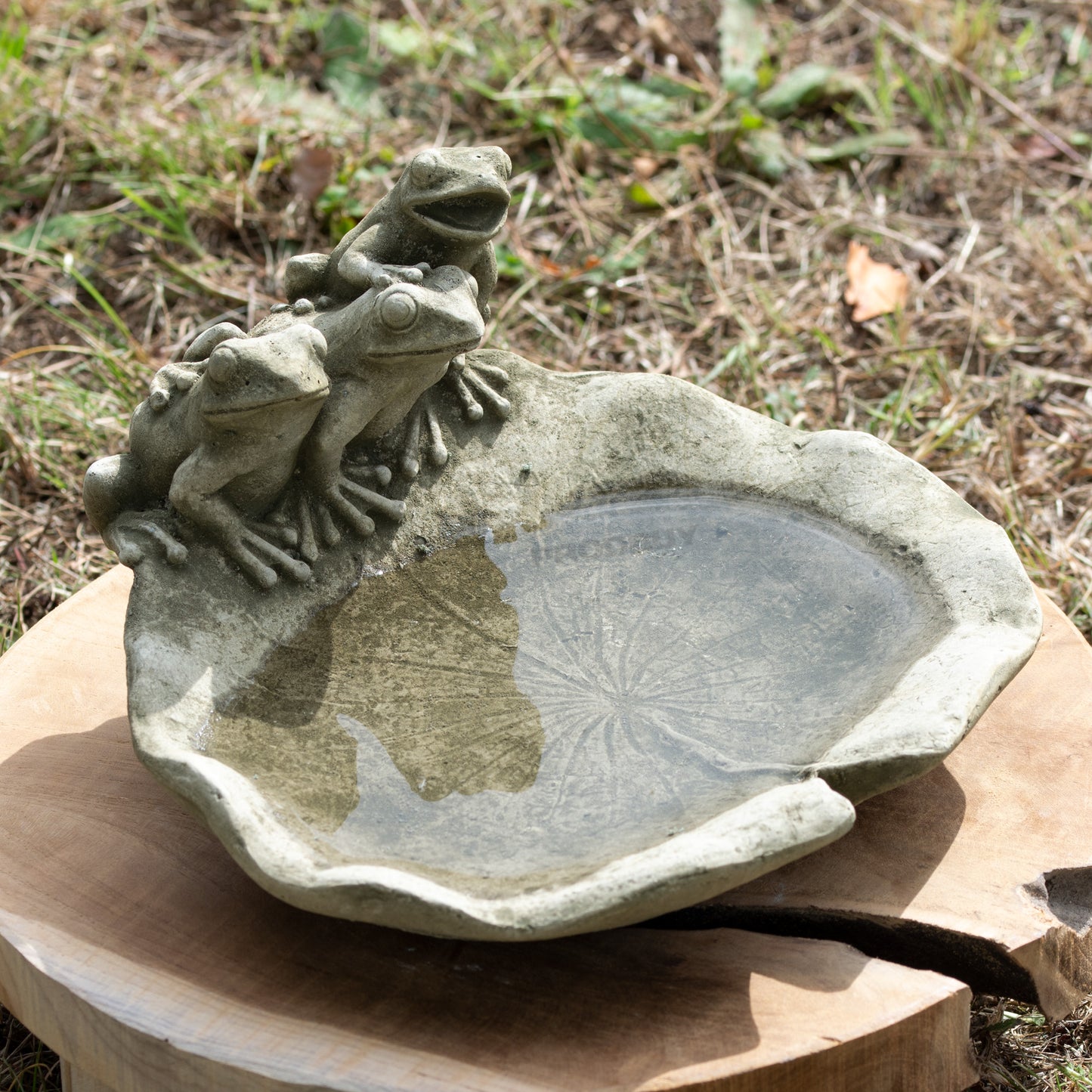Heavy Stone 24cm Frogs on Lily Pad Bird Bath