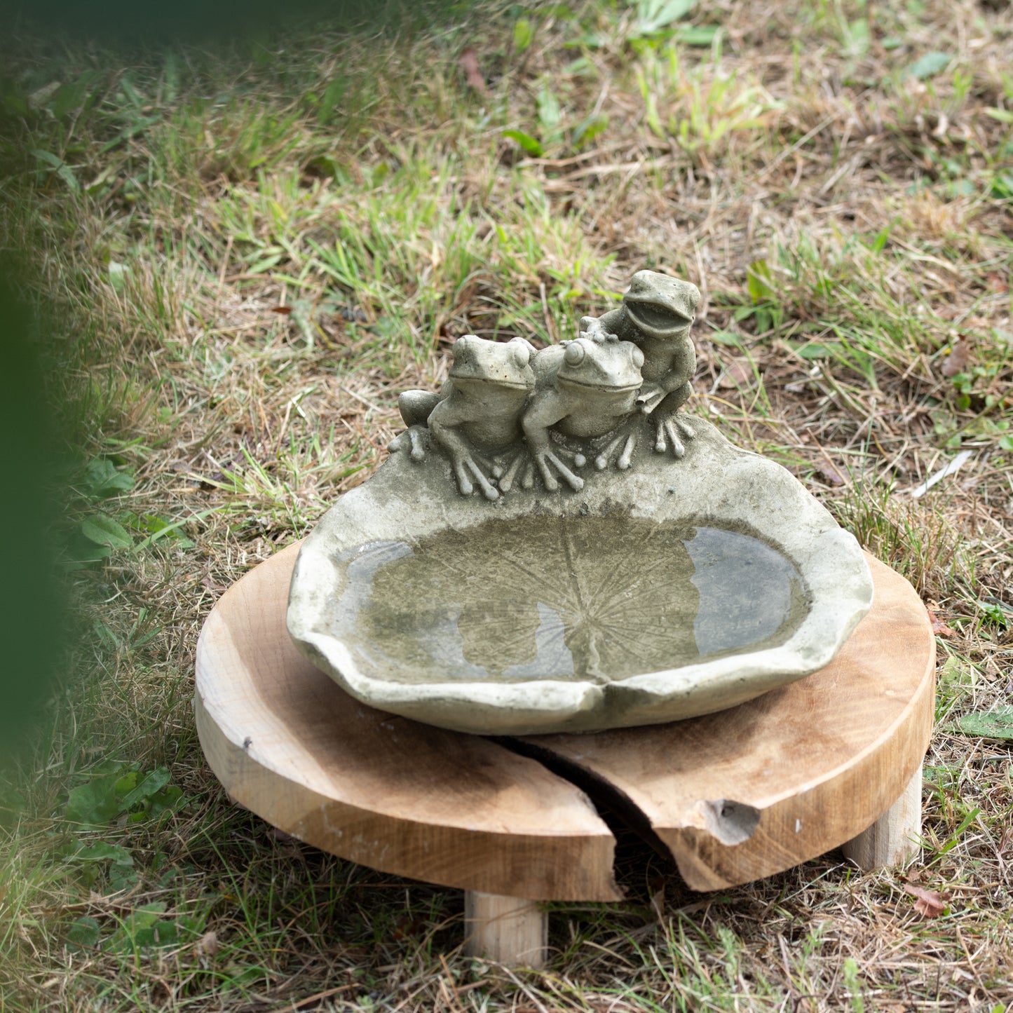 Heavy Stone 24cm Frogs on Lily Pad Bird Bath