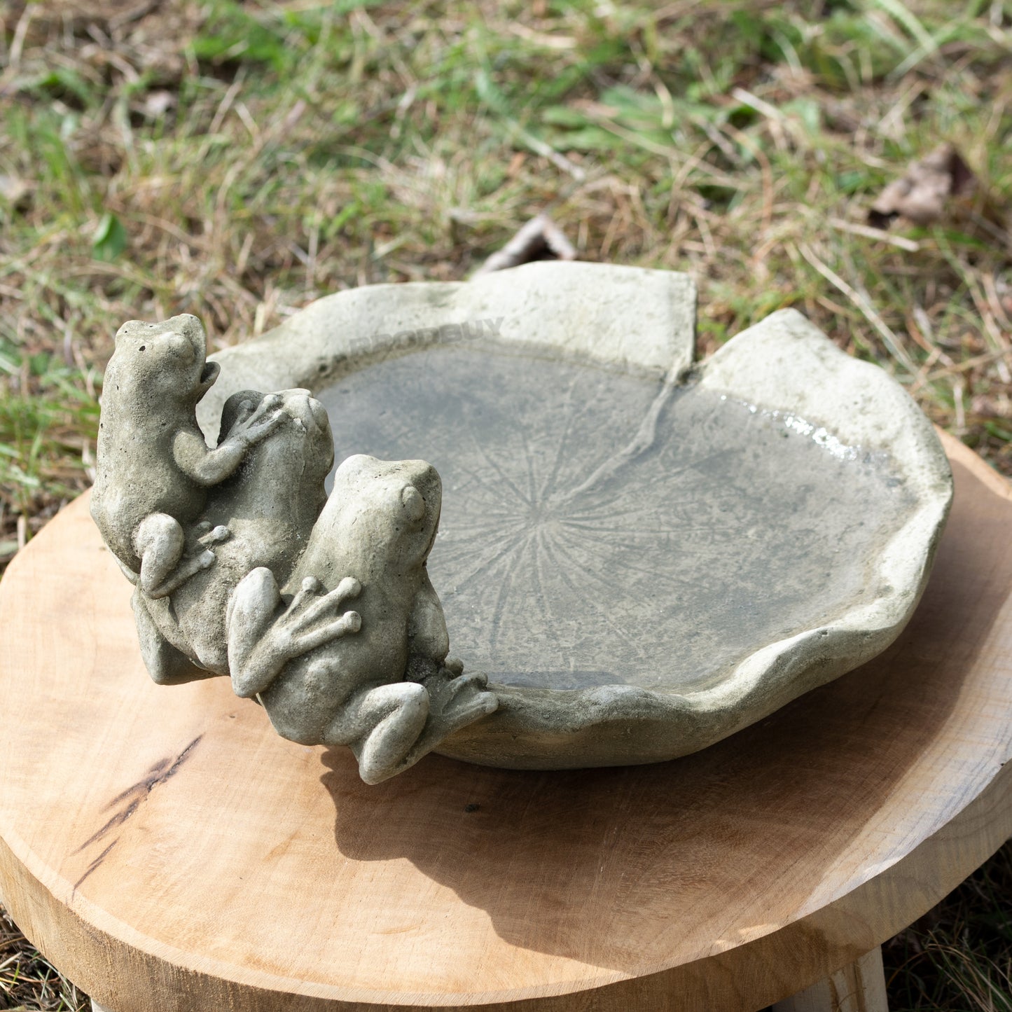 Heavy Stone 24cm Frogs on Lily Pad Bird Bath