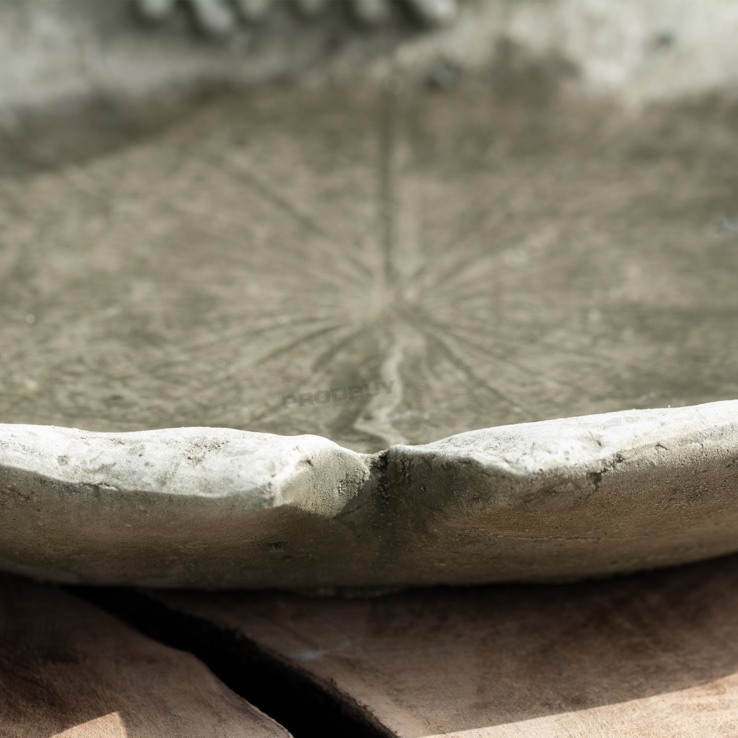 Heavy Stone 24cm Frogs on Lily Pad Bird Bath