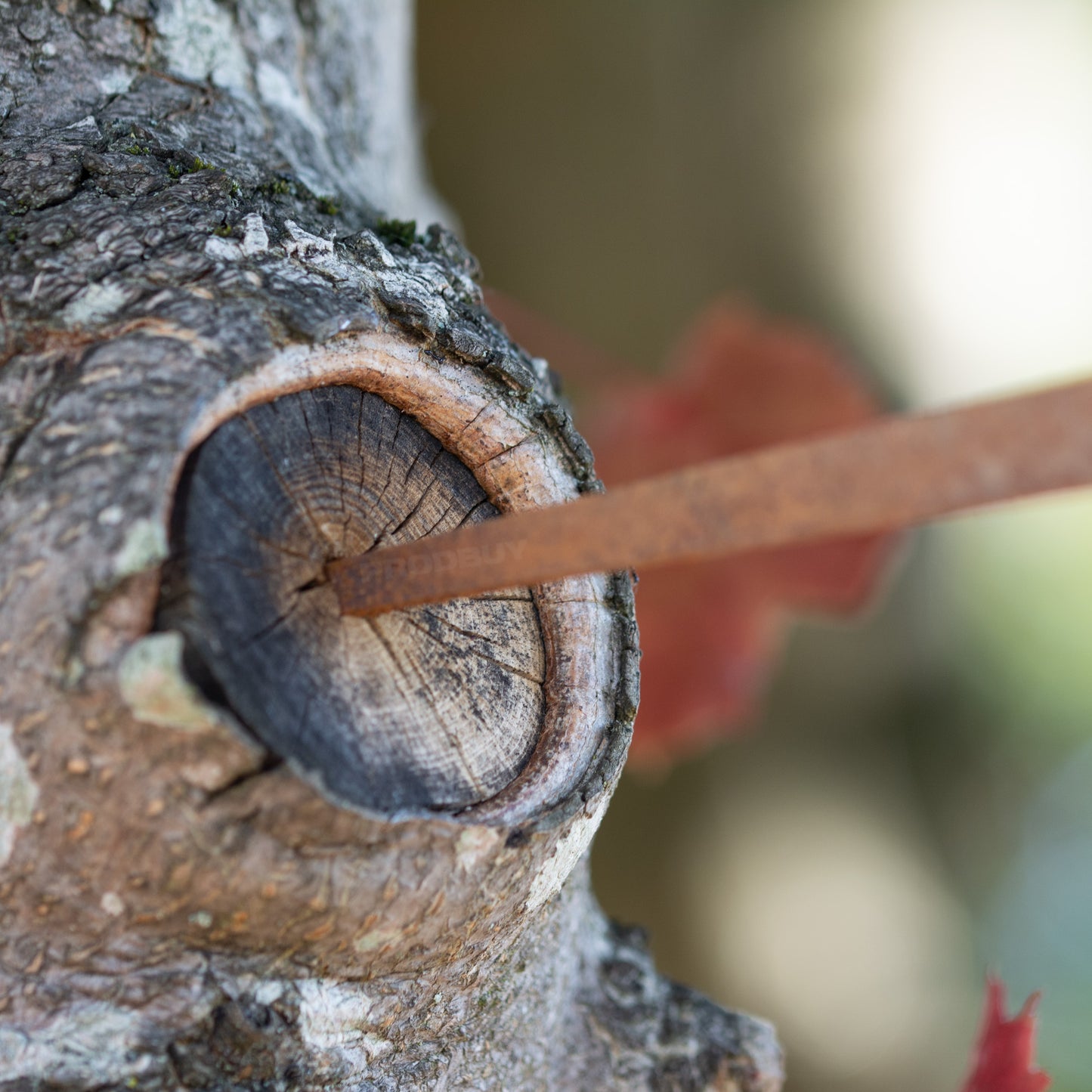 Metal Robin on Spike Garden Decoration