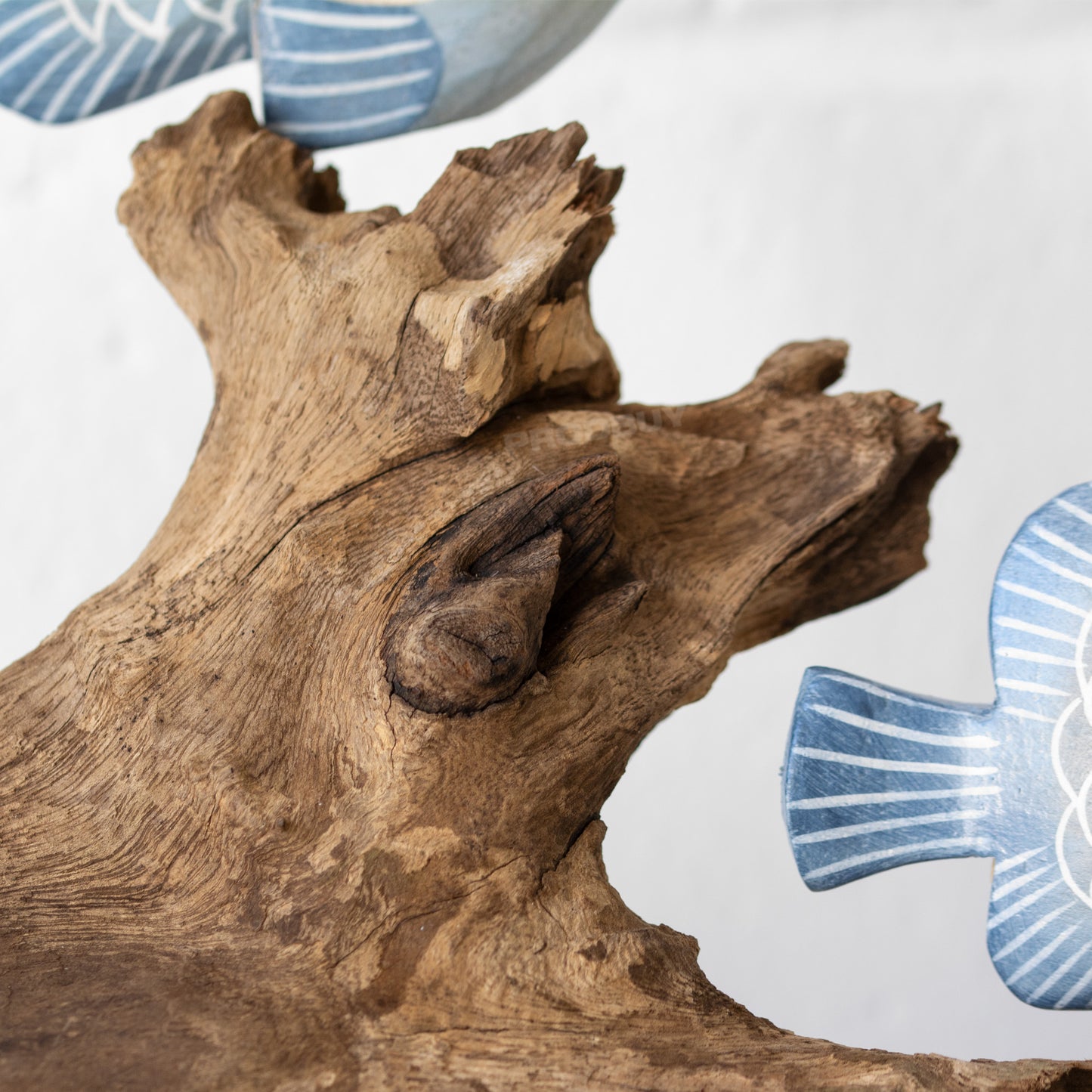 Fish on Coral Teak Root Wood Ornament