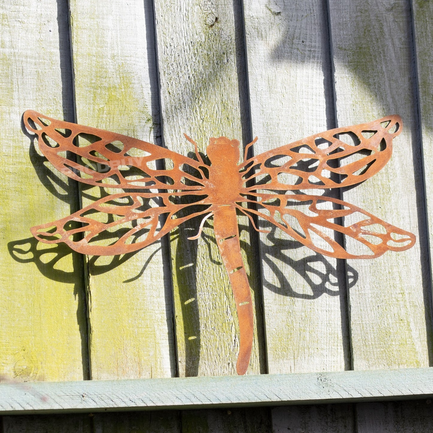 Rusty Dragonfly 38cm Metal Wall Sculpture