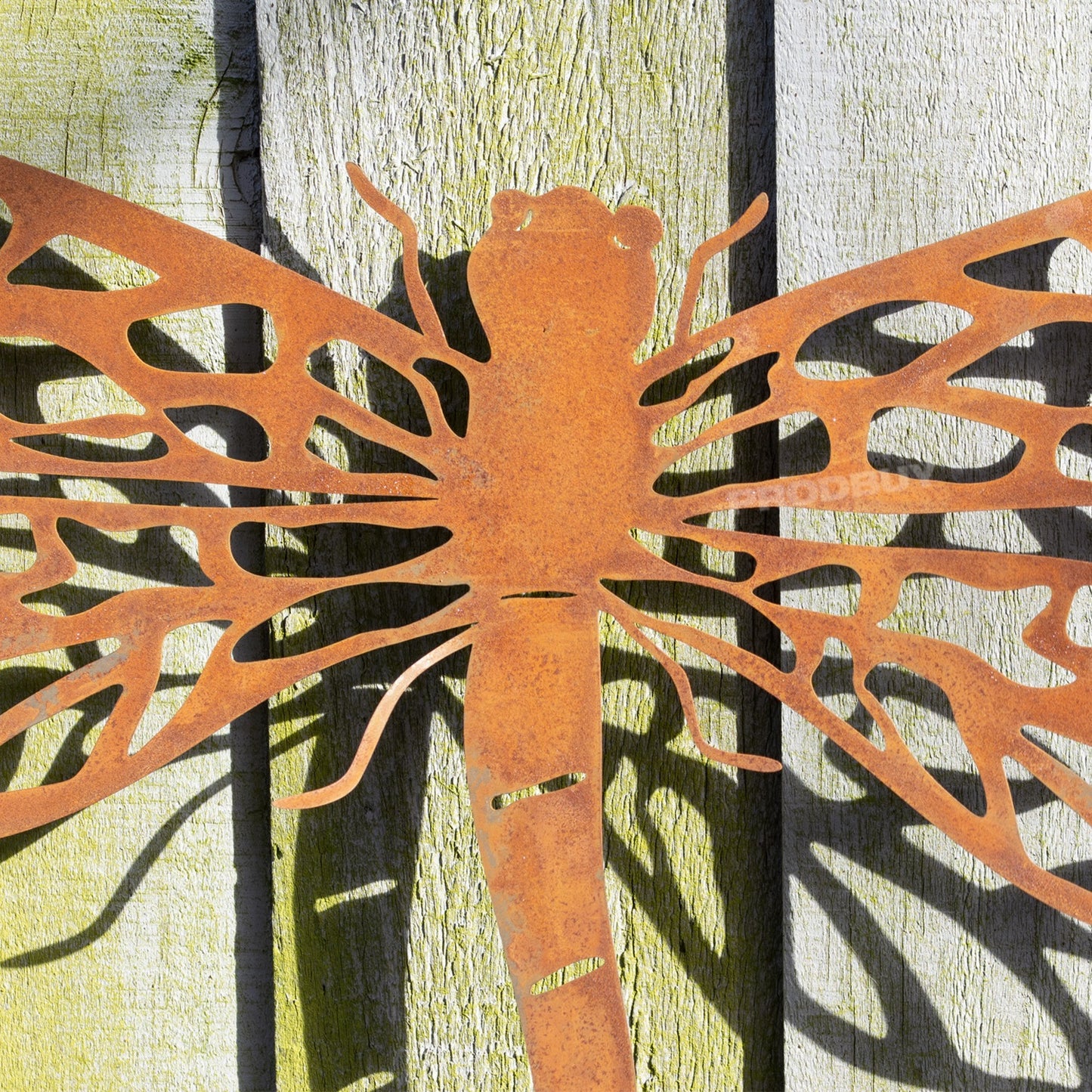 Rusty Dragonfly 38cm Metal Wall Sculpture