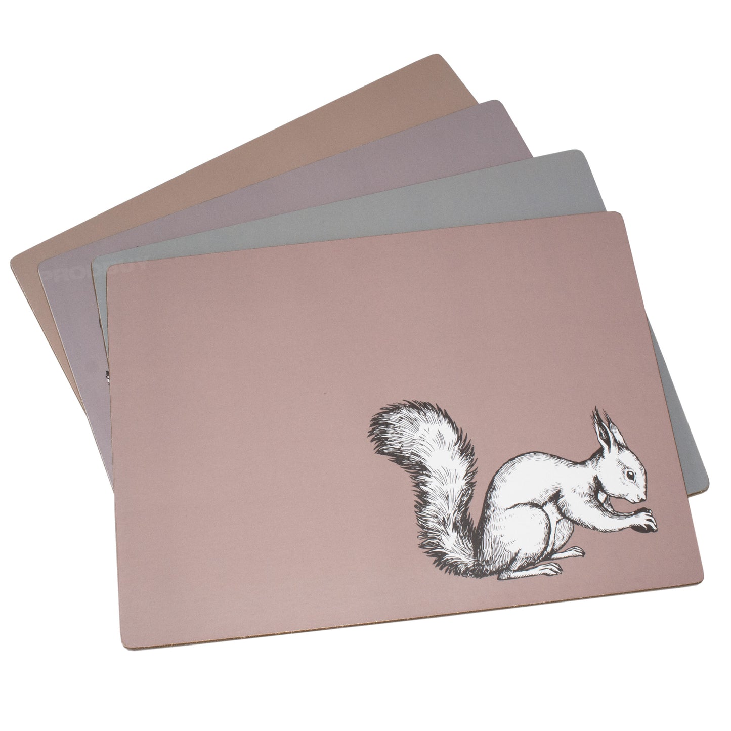 Set of 4 Placemats & 4 Coasters with Woodland Animals