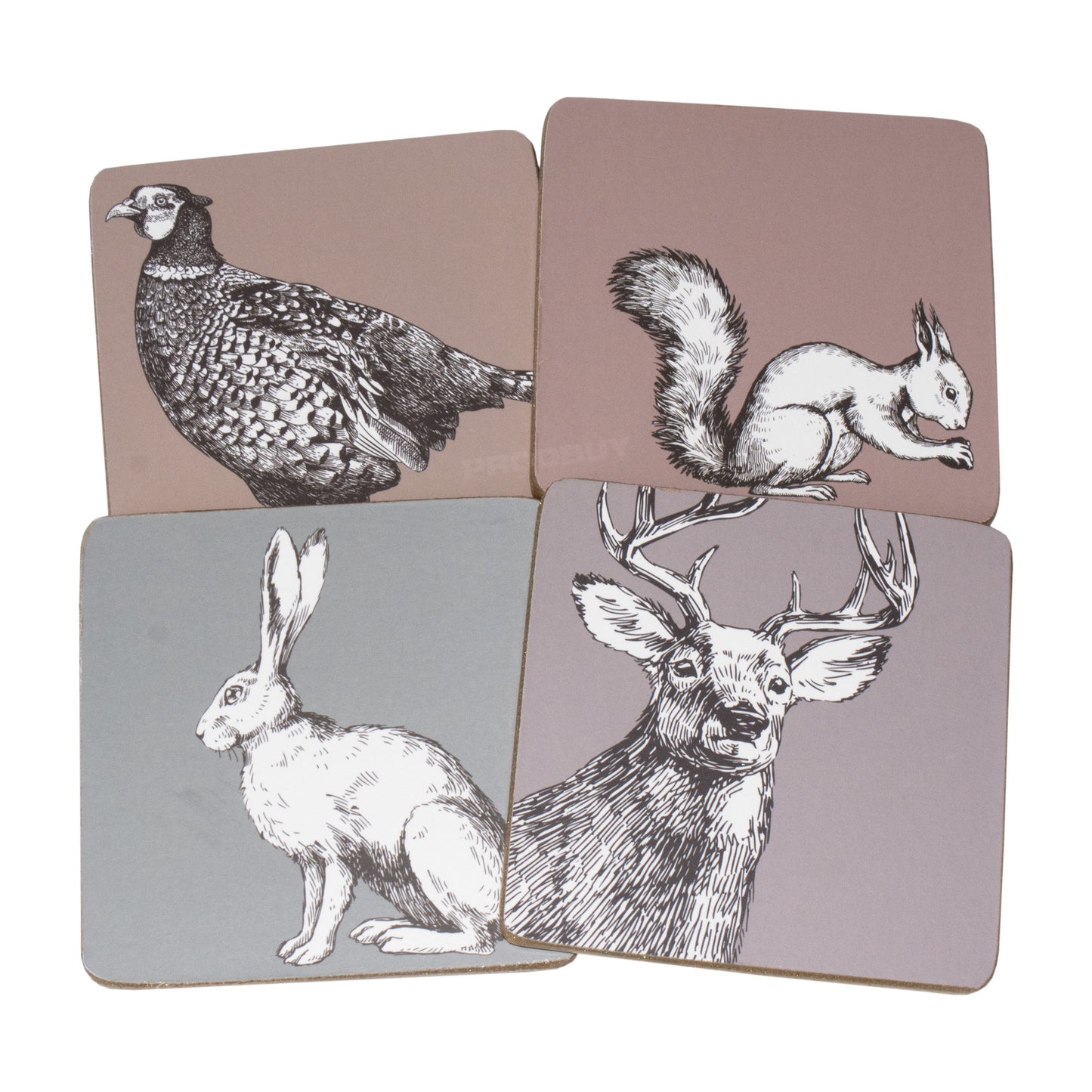 Set of 4 Placemats & 4 Coasters with Woodland Animals