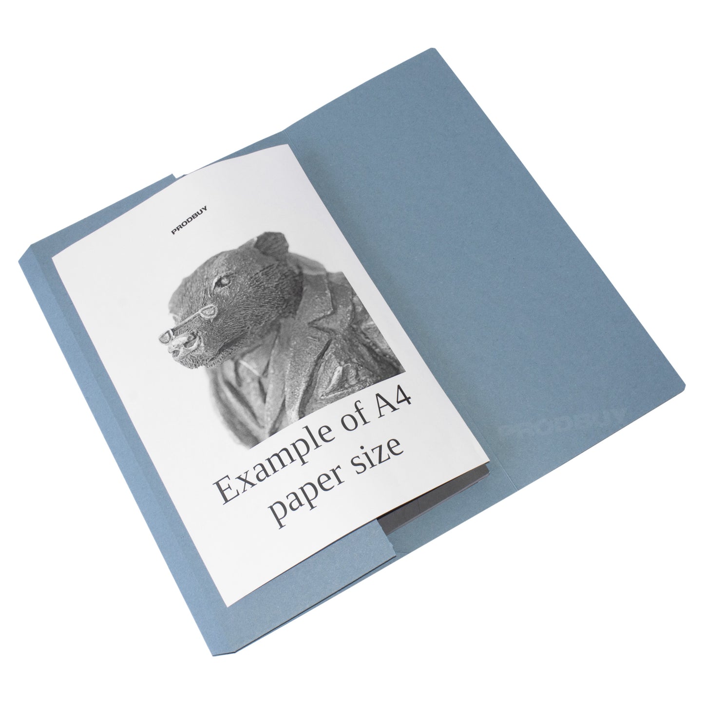 Set of 24 Pastel Blue Foolscap Document Wallets