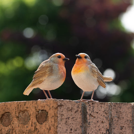 Set of 2 Small Robin Garden Ornaments