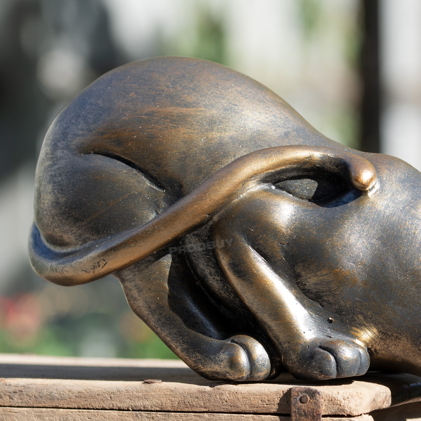 Peering Cat Resin Shelf Ornament