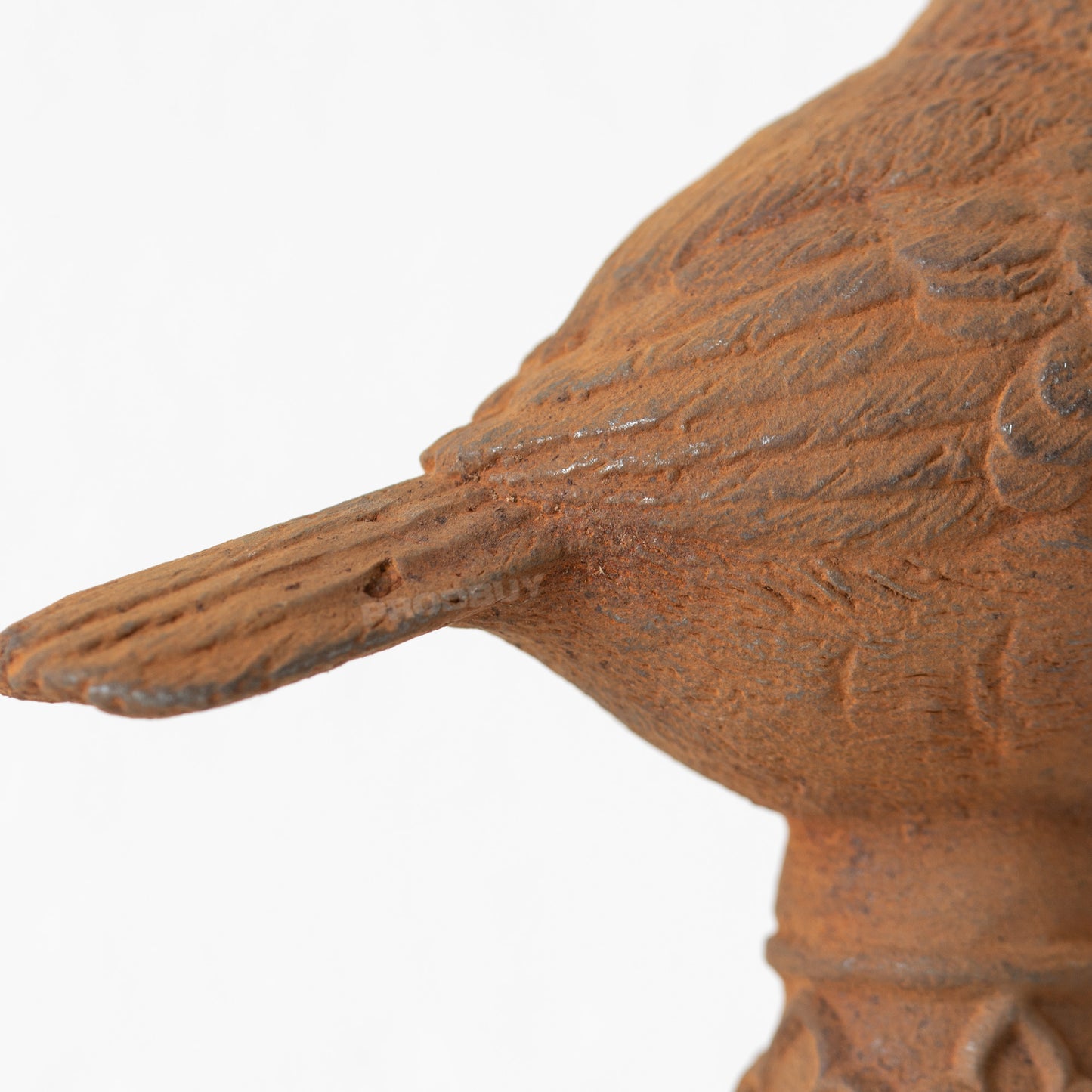 Rusty Cast Iron Bird with Crown Garden Ornament