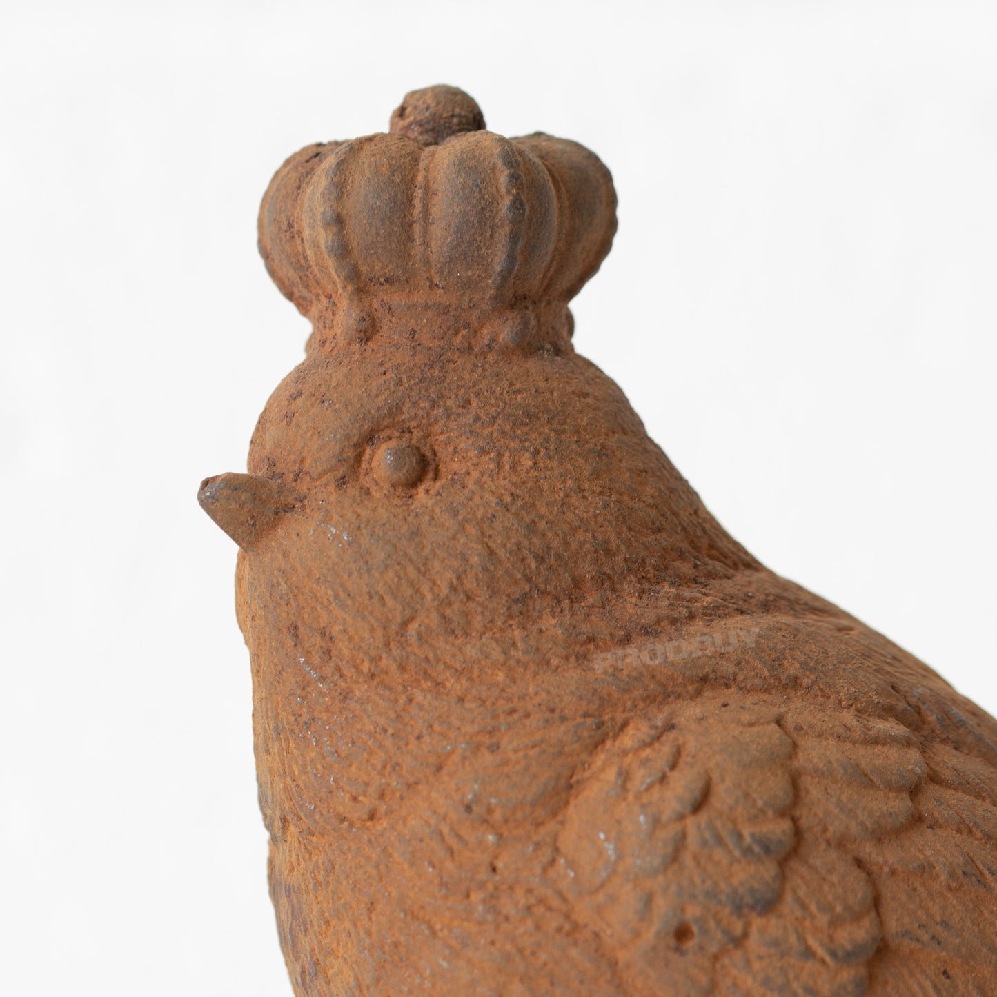 Rusty Cast Iron Bird with Crown Garden Ornament
