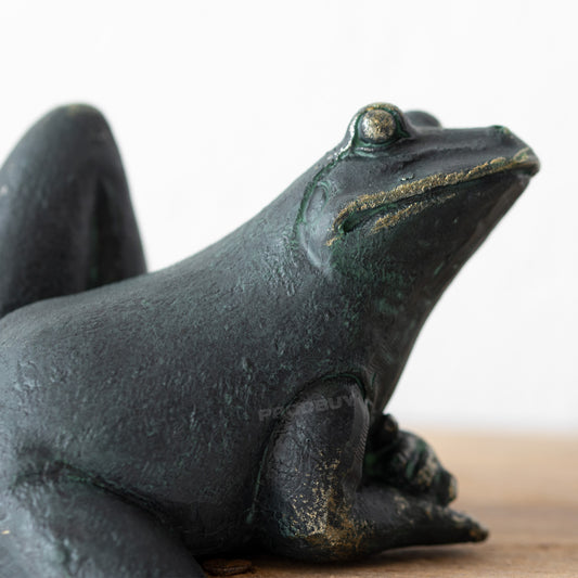 Set of 2 Climbing Frogs Sitting Sculptures Shelf Sitters