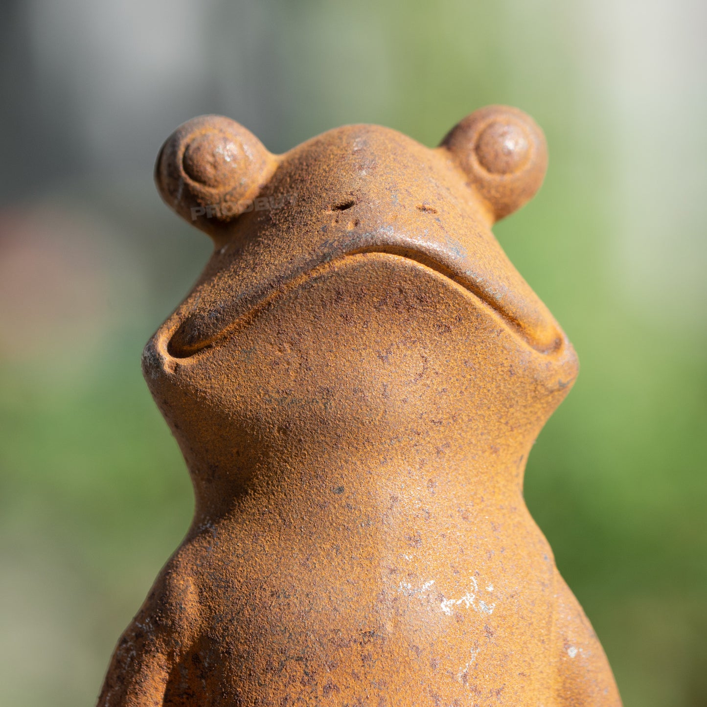 Sitting Yoga Frog Rusty Cast Iron Garden Ornament