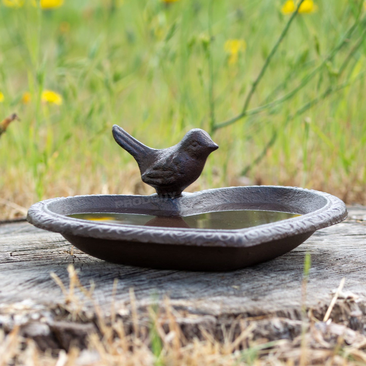 Cast Iron Heart Shaped Bird Bath Feeder Dish