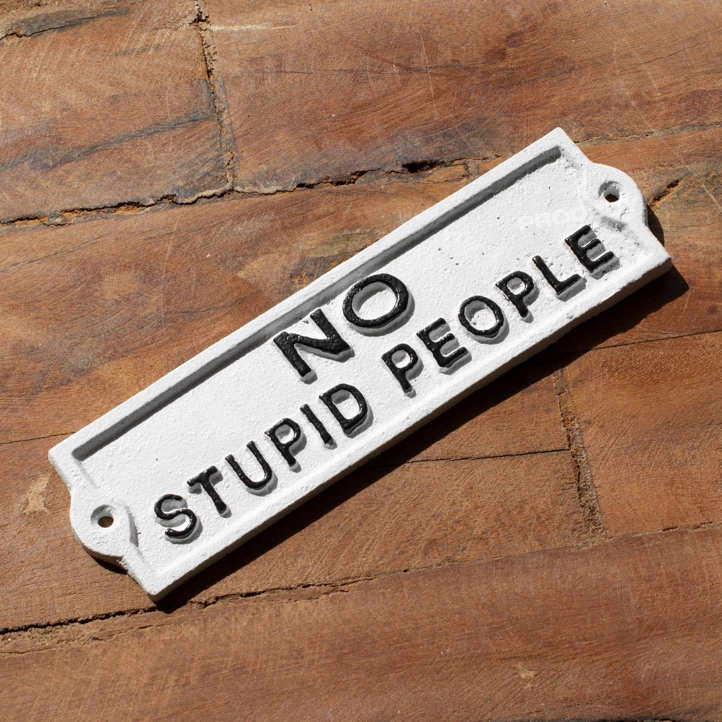 Cast Iron 'No Stupid People' Garden Wall Sign
