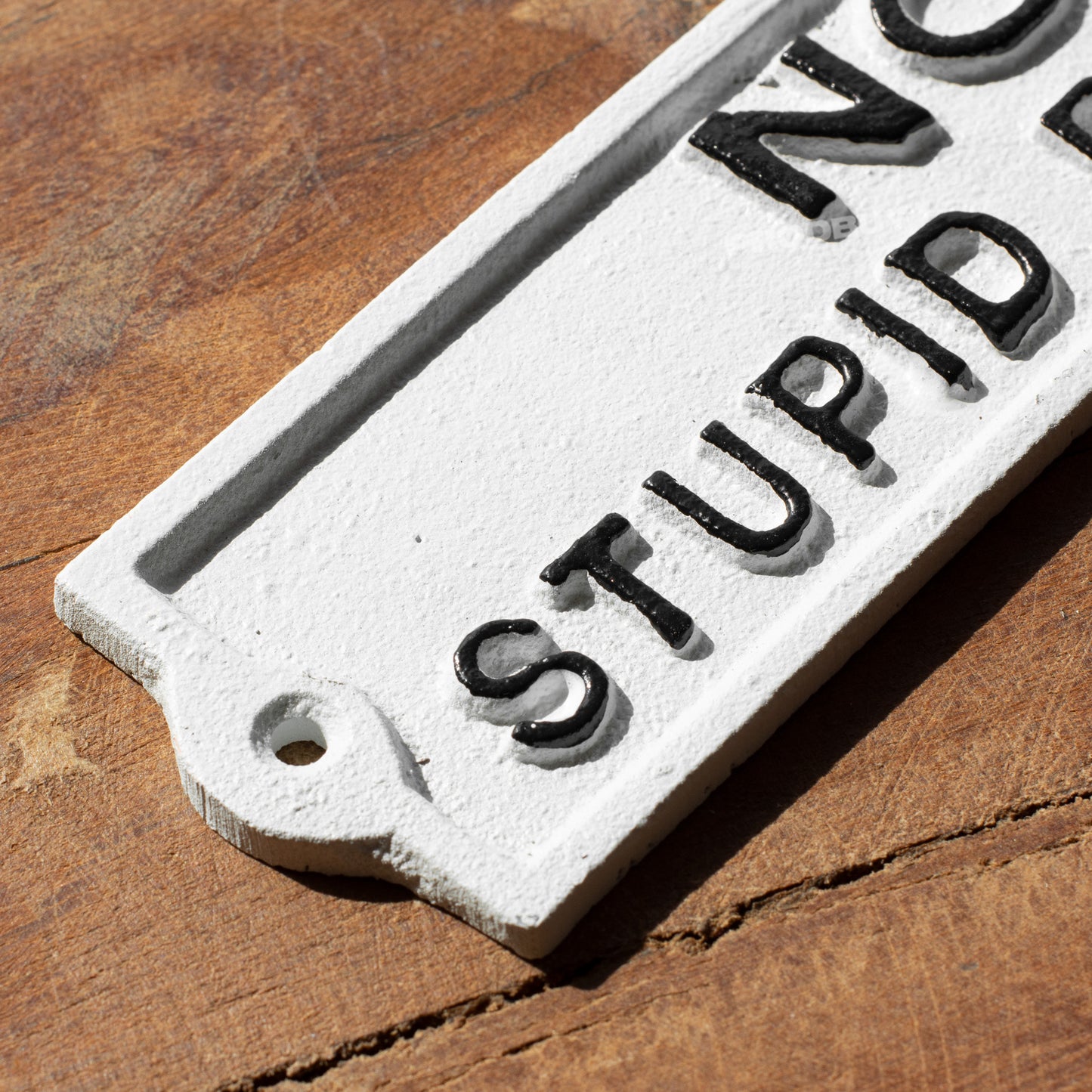 Cast Iron 'No Stupid People' Garden Wall Sign