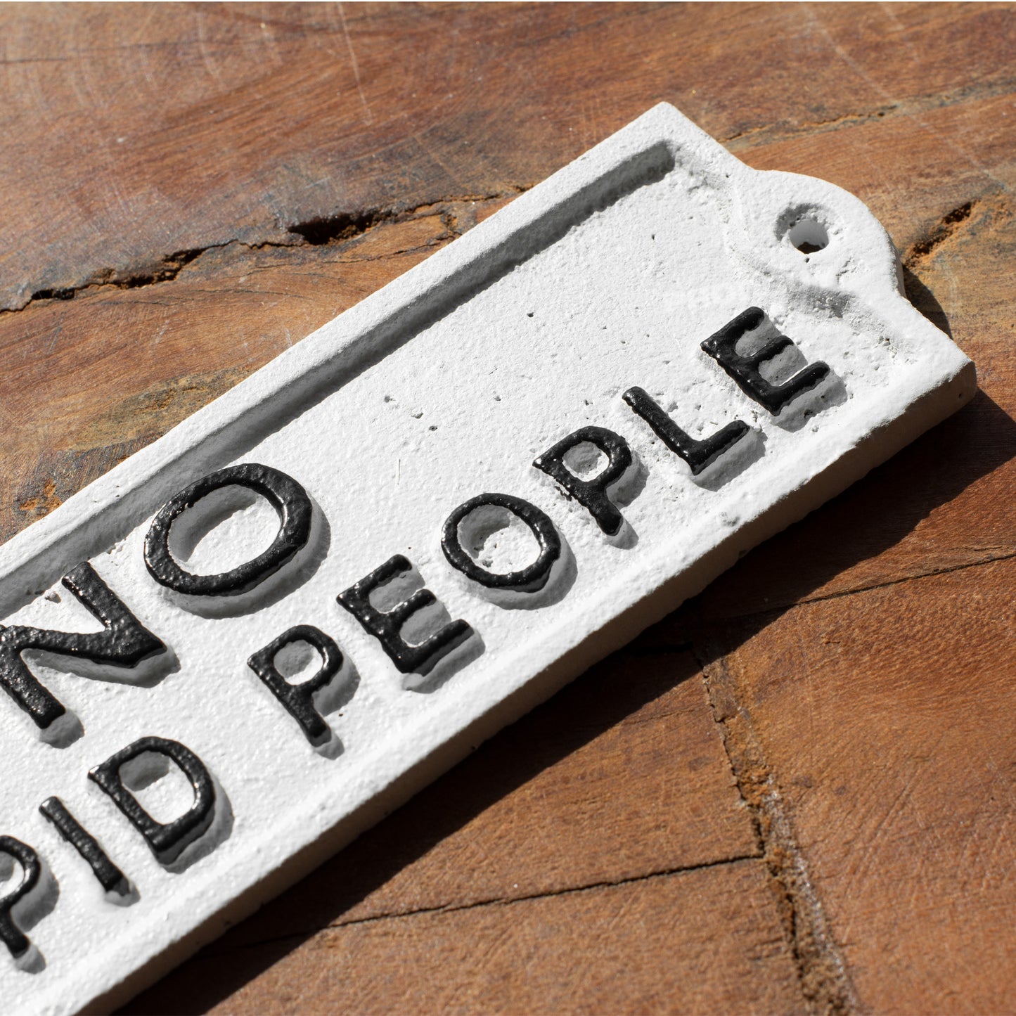 Cast Iron 'No Stupid People' Garden Wall Sign