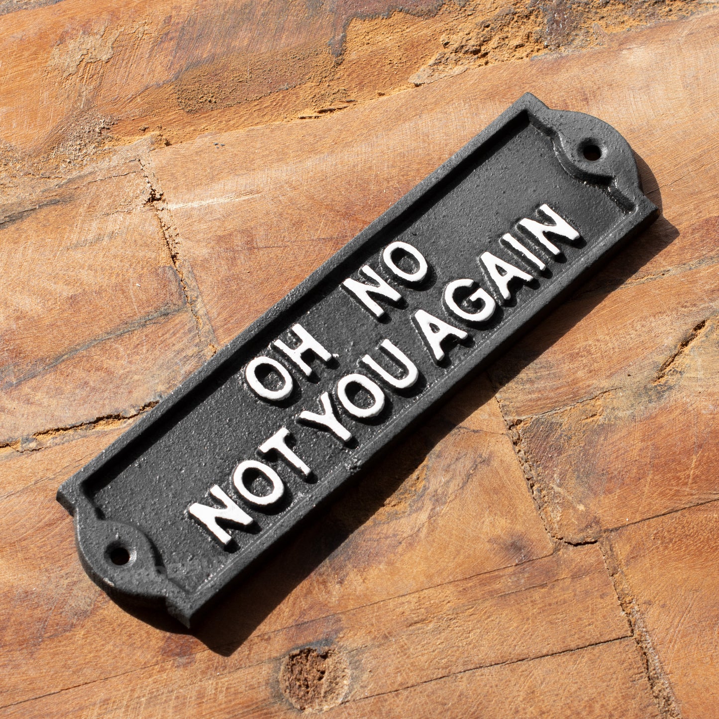 Cast Iron 'Oh No Not You Again' Garden Wall Sign