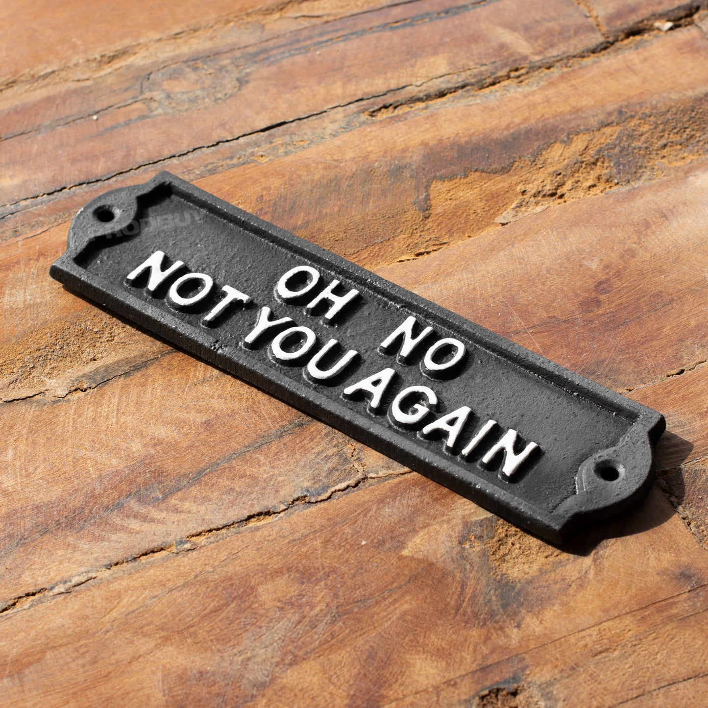 Cast Iron 'Oh No Not You Again' Garden Wall Sign