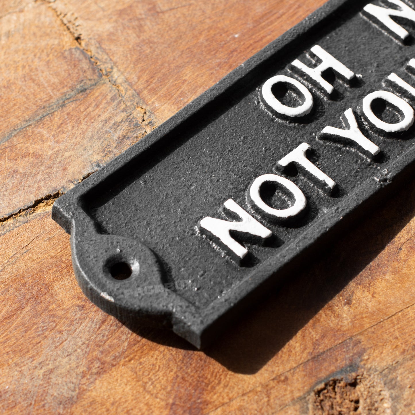 Cast Iron 'Oh No Not You Again' Garden Wall Sign