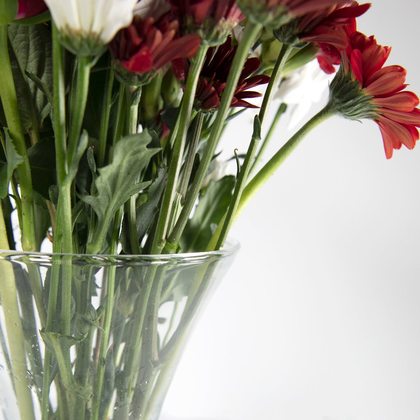 27cm Tall Tumpet Shape Glass Vase