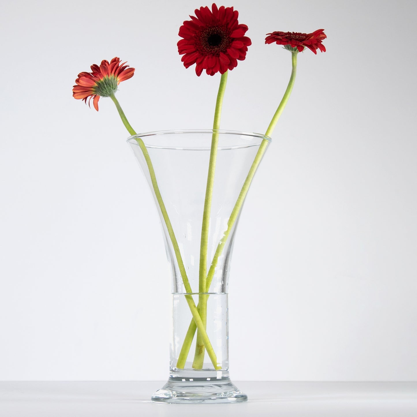27cm Tall Tumpet Shape Glass Vase