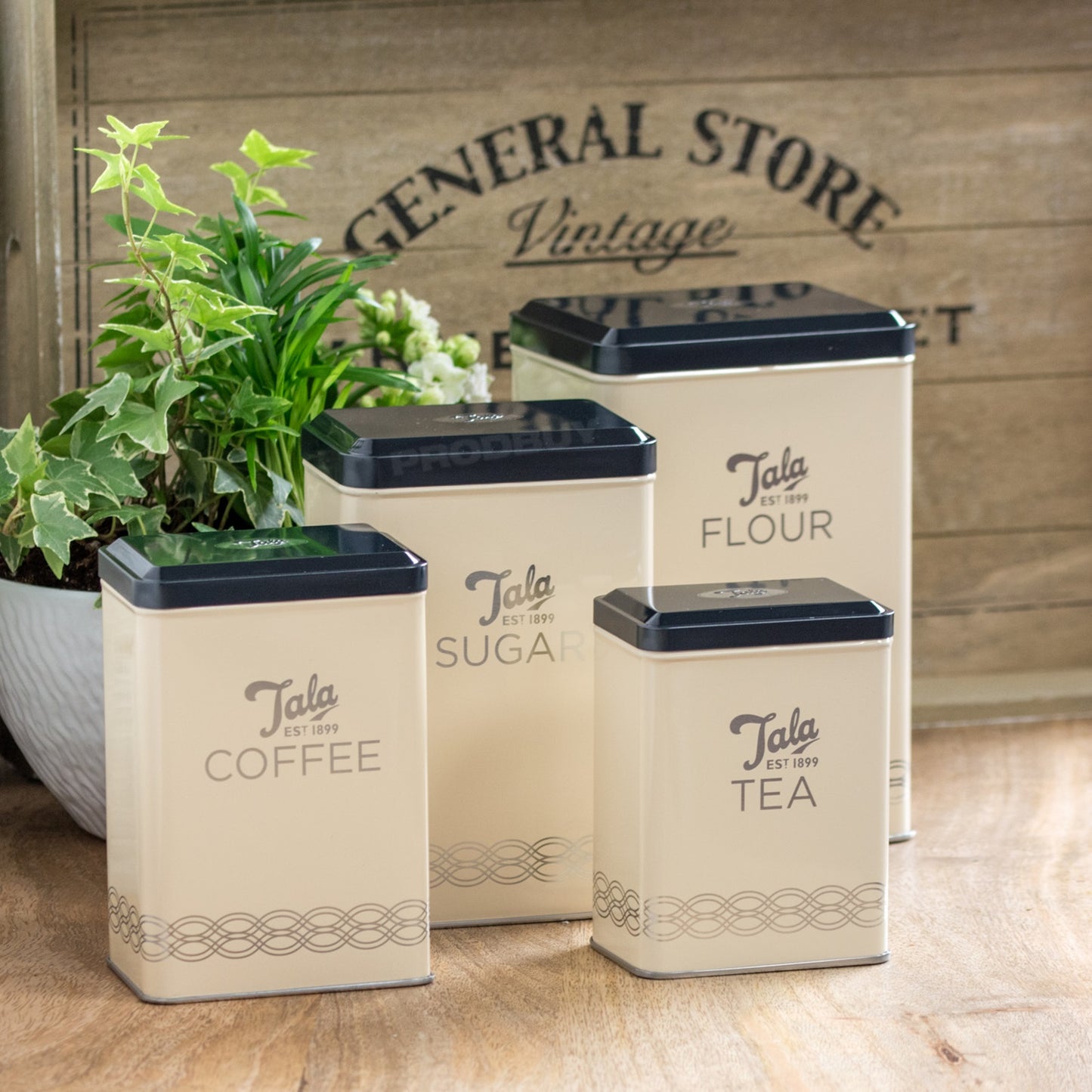 Set of 4 Tala Cream & Black Storage Tins