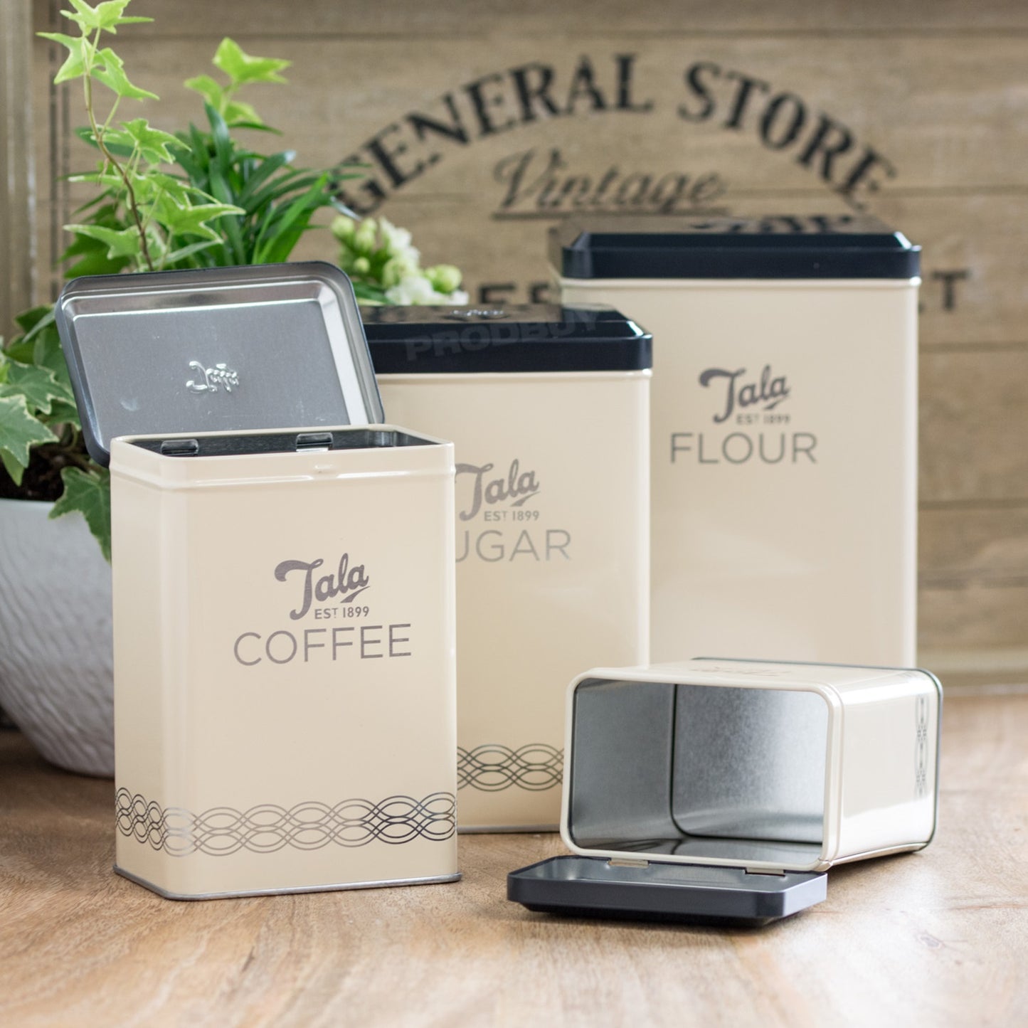 Set of 4 Tala Cream & Black Storage Tins