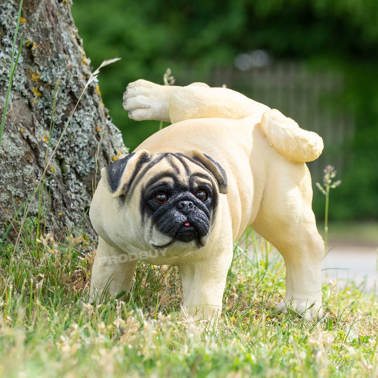 Naughty Pug Dog 34cm Garden Ornament