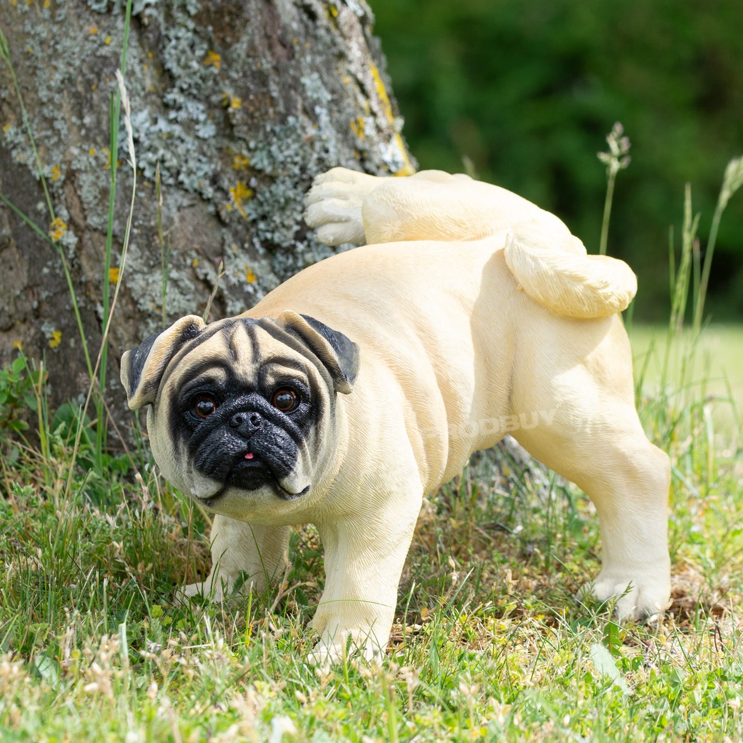 Naughty Pug Dog 34cm Garden Ornament
