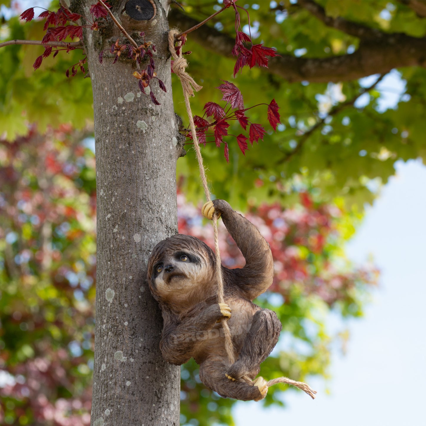 Climbing Sloth Garden Ornament On Rope Tree Branch Hanging