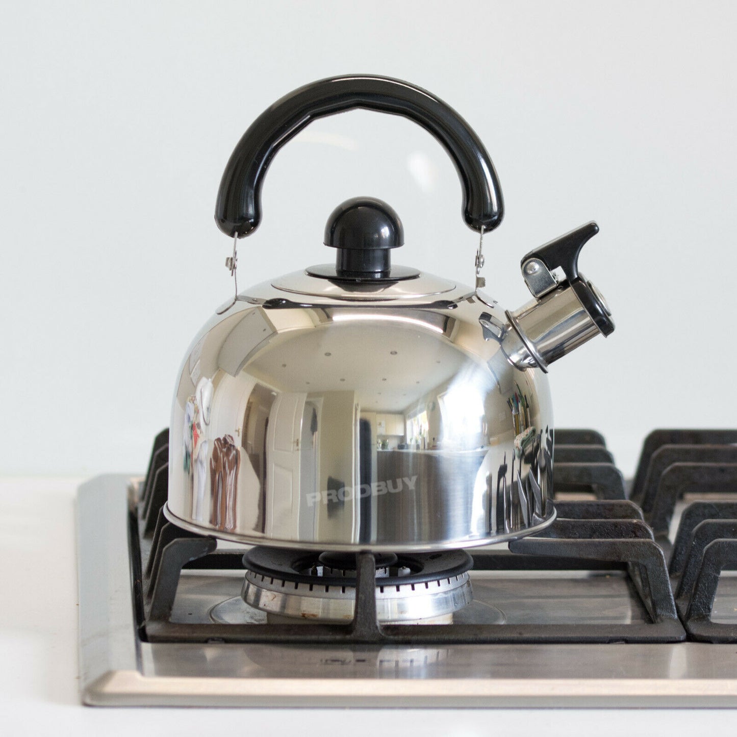 Stainless Steel Stove Top Whistling Kettle