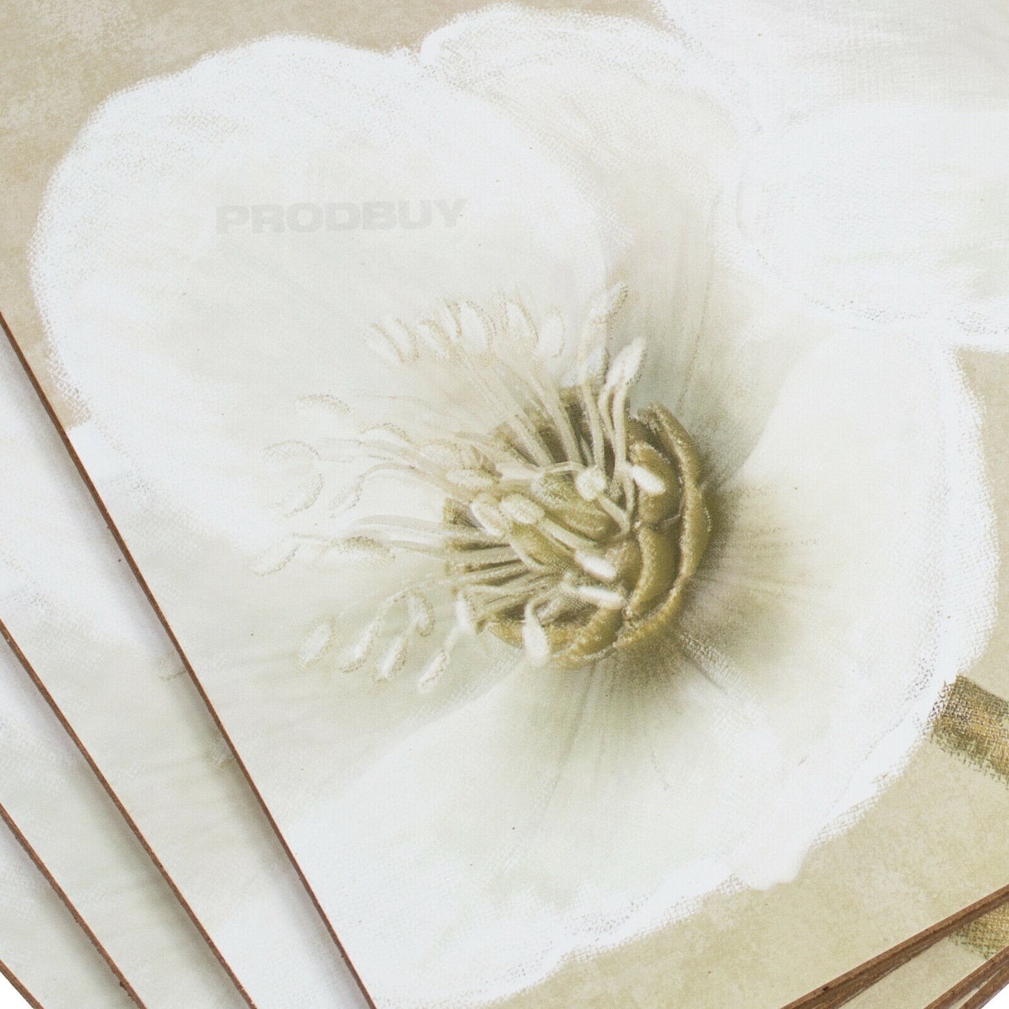 Set of 4 Placemats & 4 Coasters Helleborus Floral