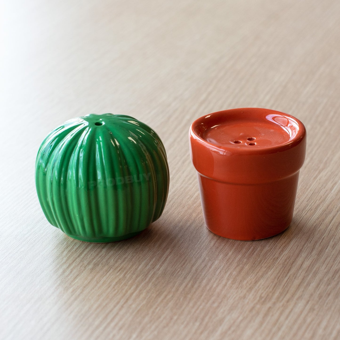 Novelty Cactus Salt & Pepper Pot Shakers Set