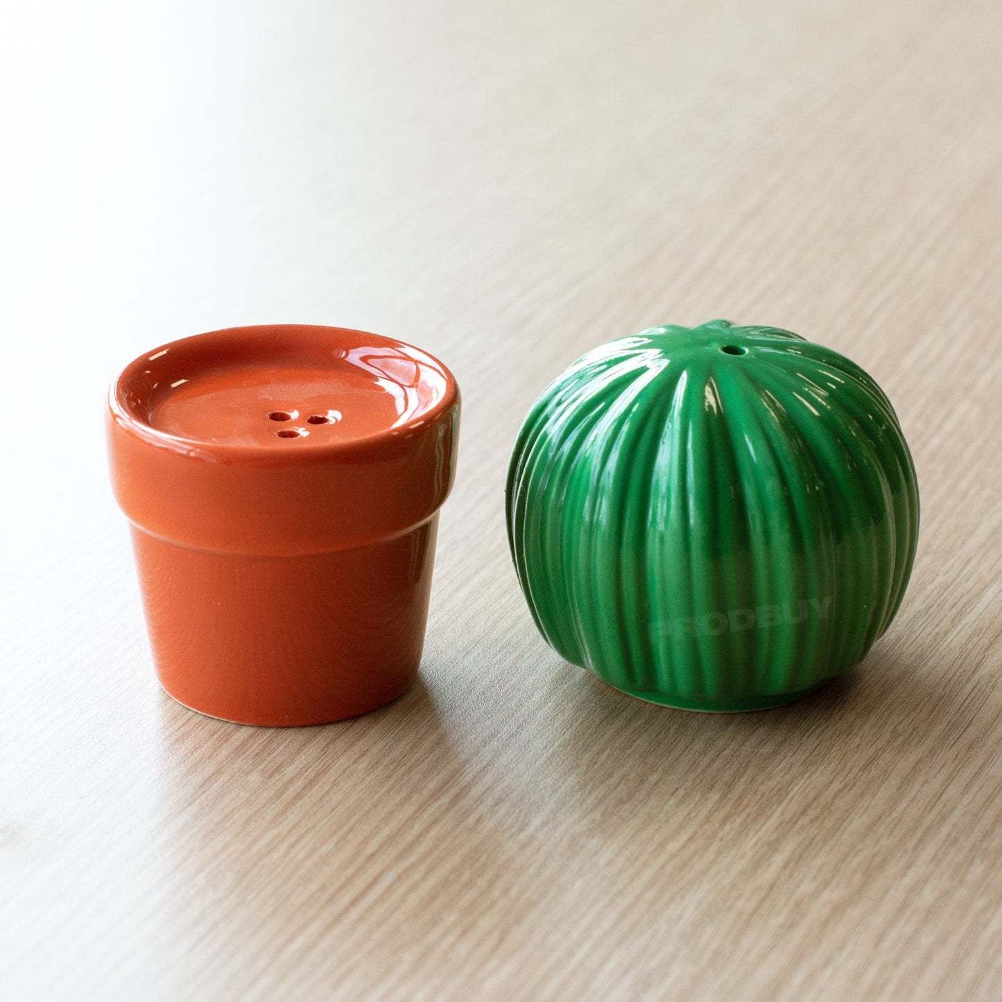 Novelty Cactus Salt & Pepper Pot Shakers Set