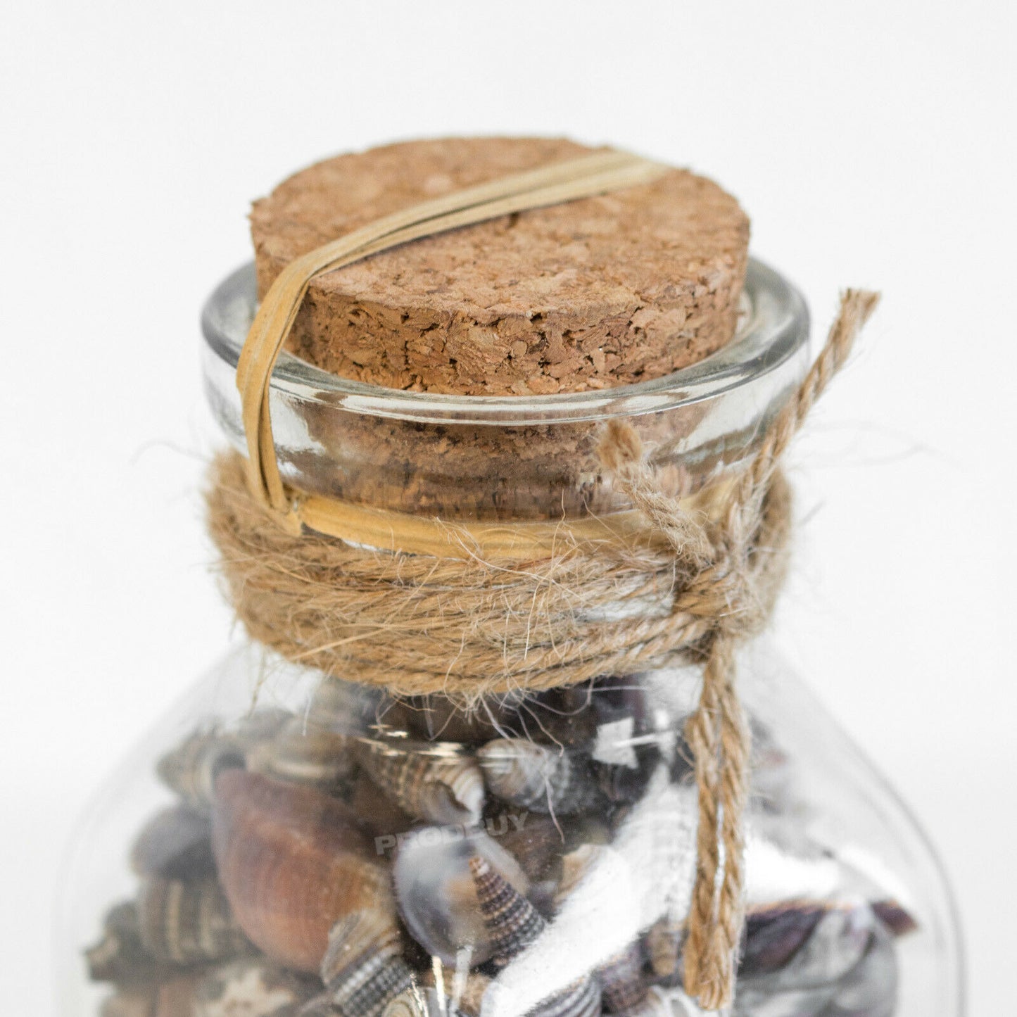 Set of 2 Glass Seashell Filled Jars