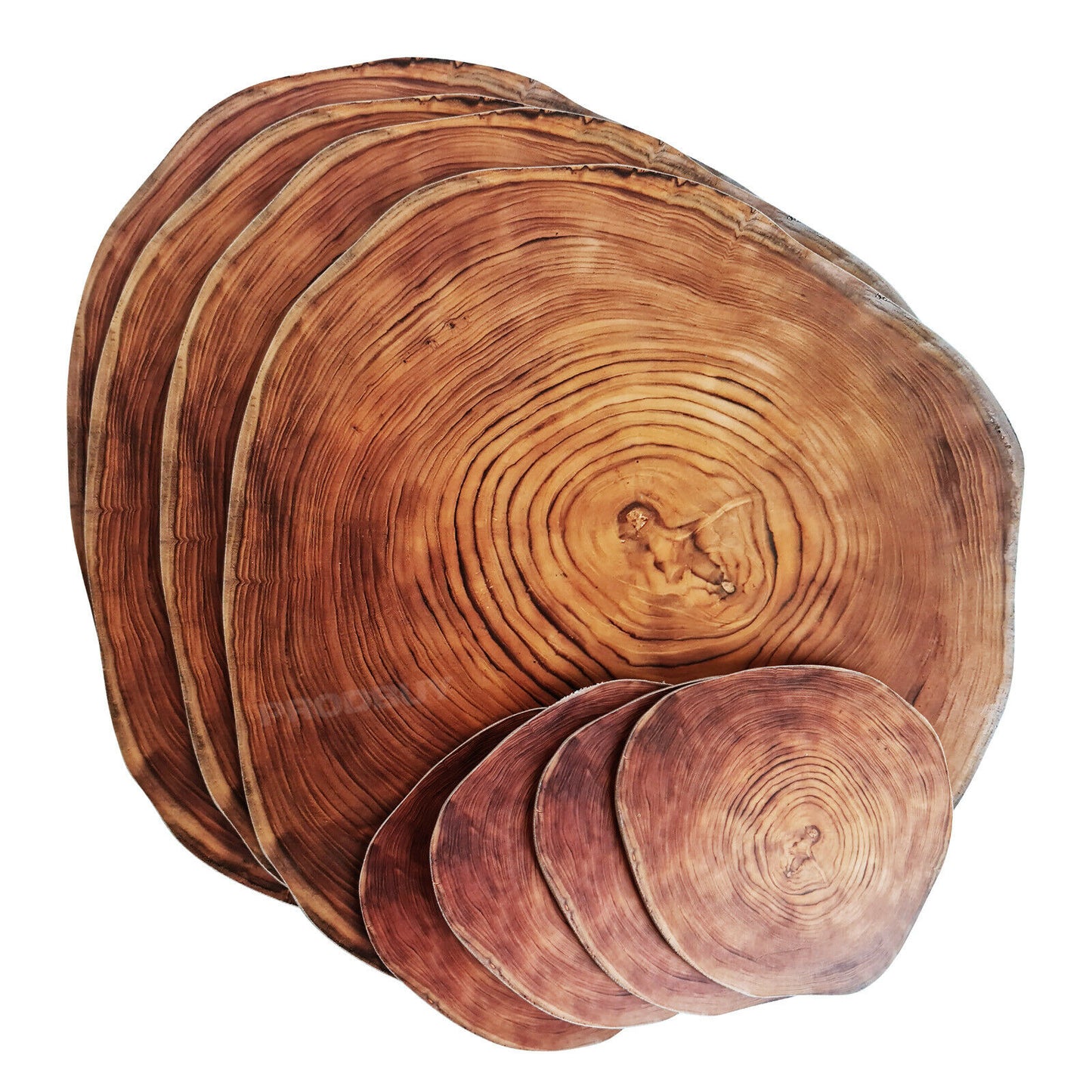Set of 4 Placemats & 4 Coasters Wild Wood Style