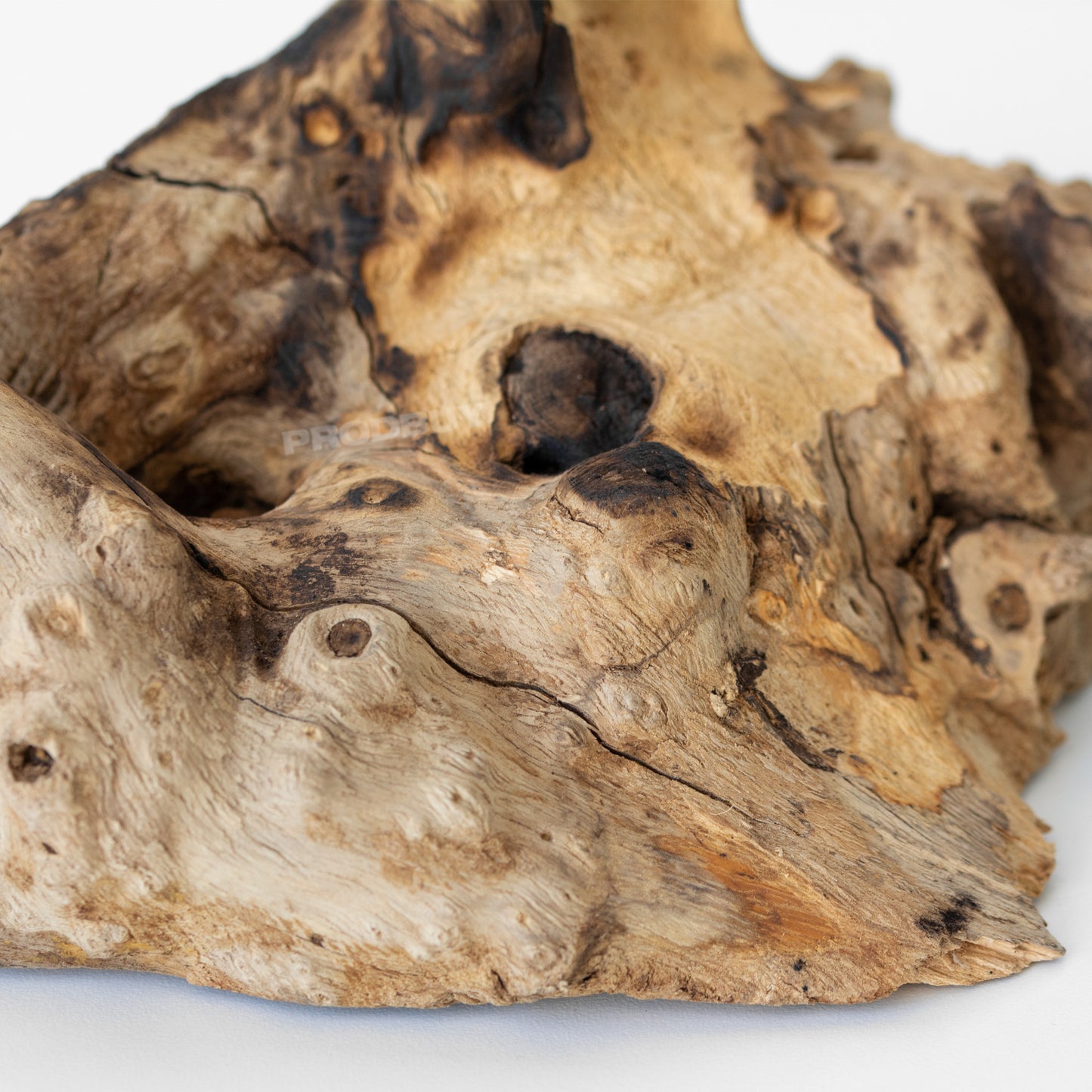 Molten 20cm Glass Bowl on Natural Teak Root Wood Stand
