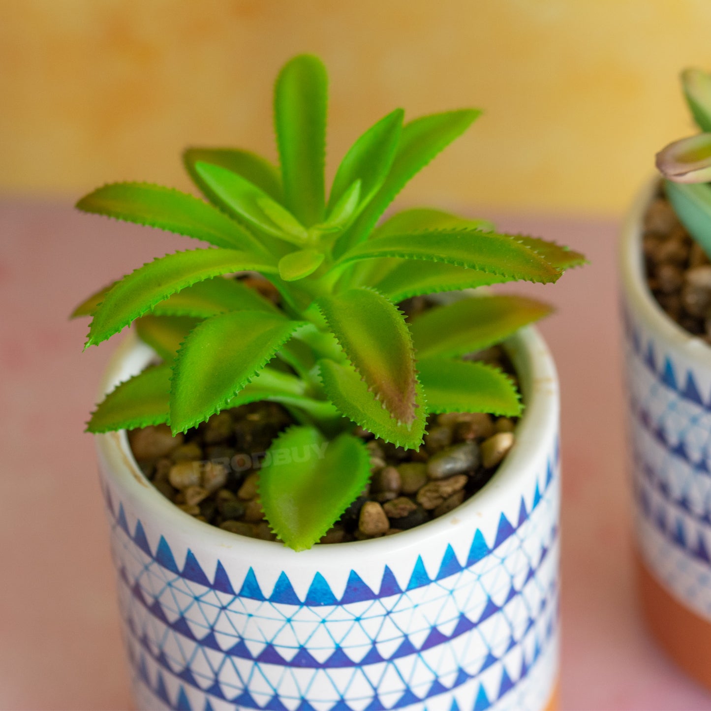Set of 3 Blue & White Artificial Succulent Plant Pots