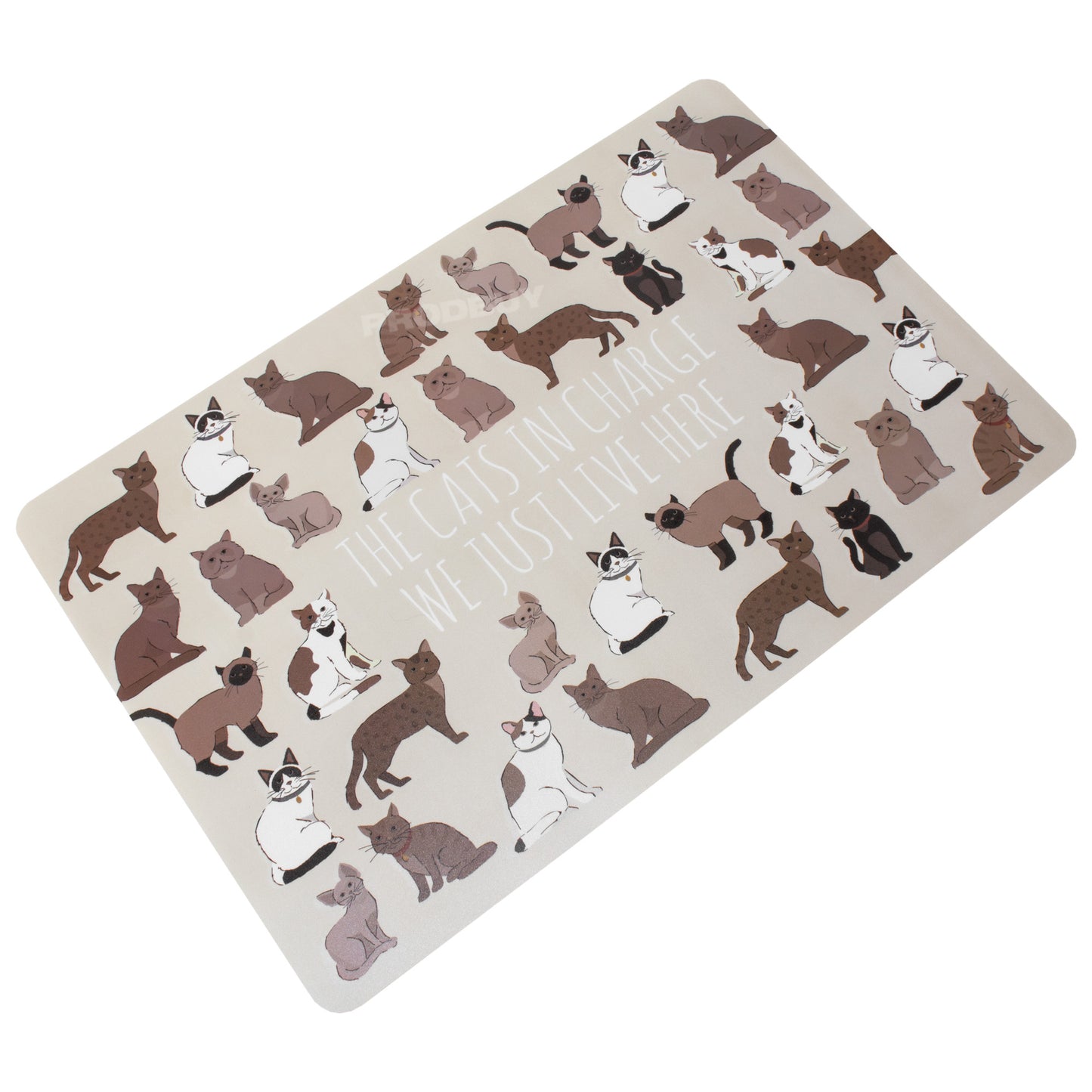 Set of 3 Large 43cm Beige Cat Feeding Placemats