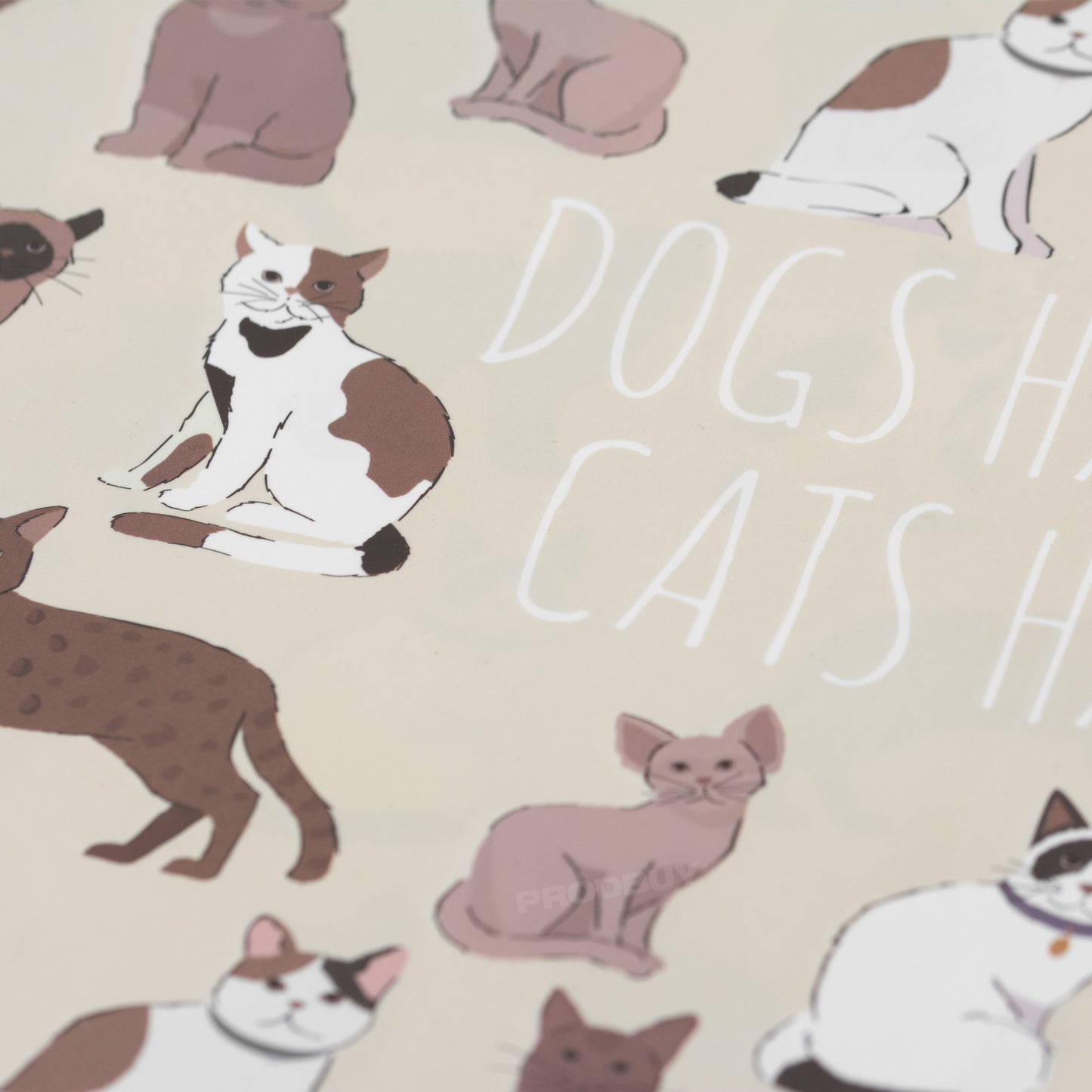 Set of 3 Large 43cm Beige Cat Feeding Placemats