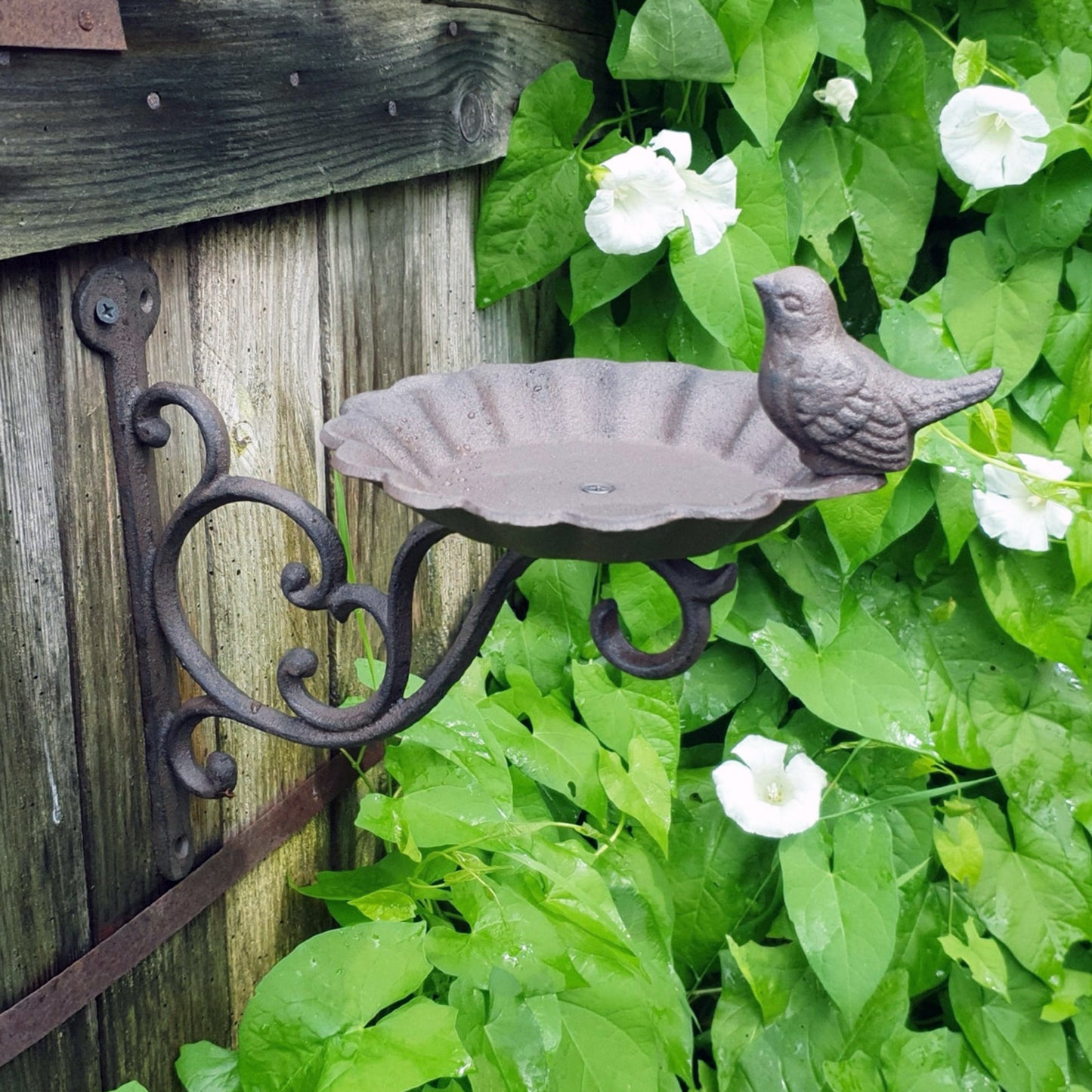 Cast Iron Wall Mounted Bracket Bird Feeder Small Feeding Station